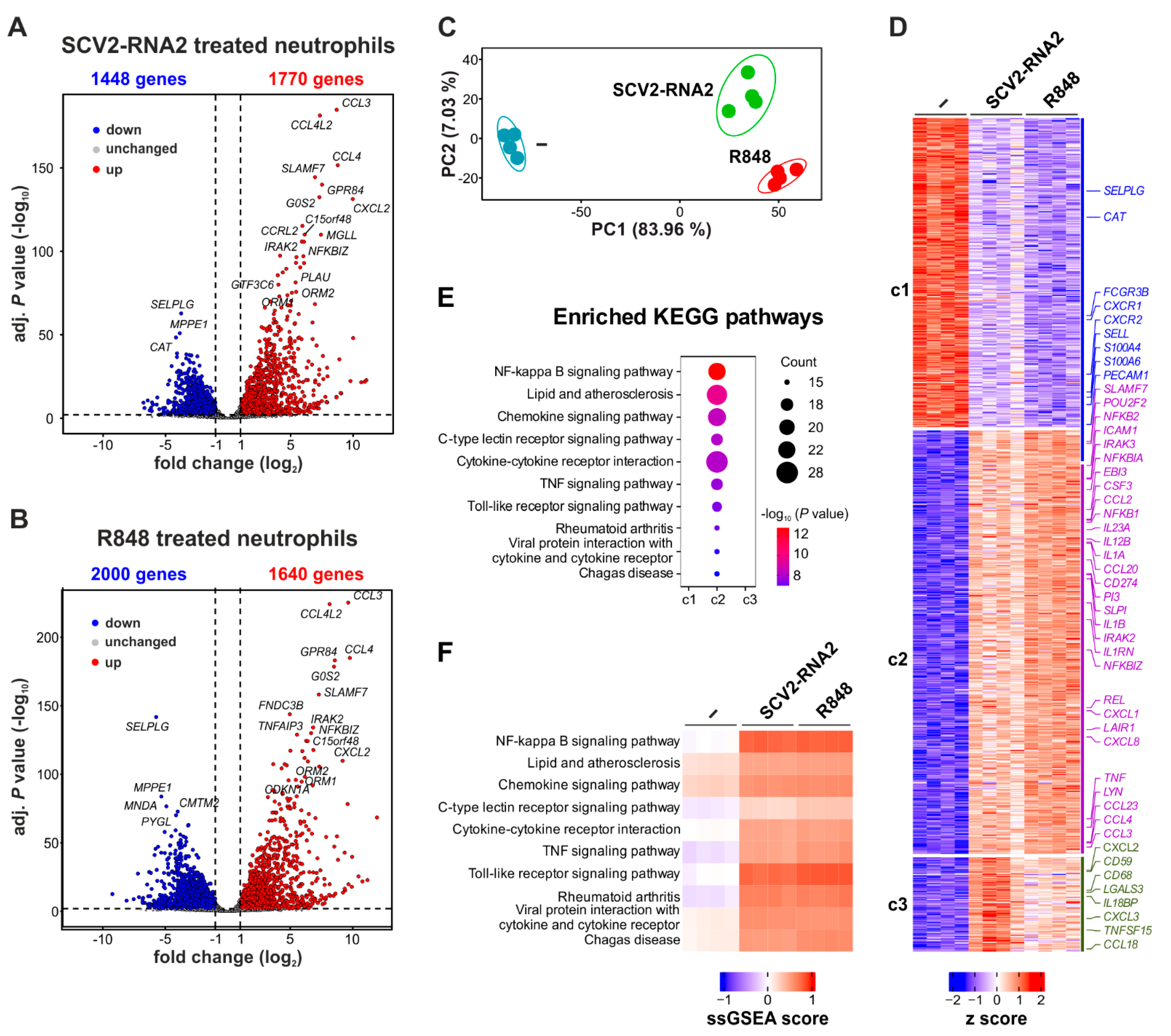 Cells 11 03785 g003 Cells 11 03785 g003