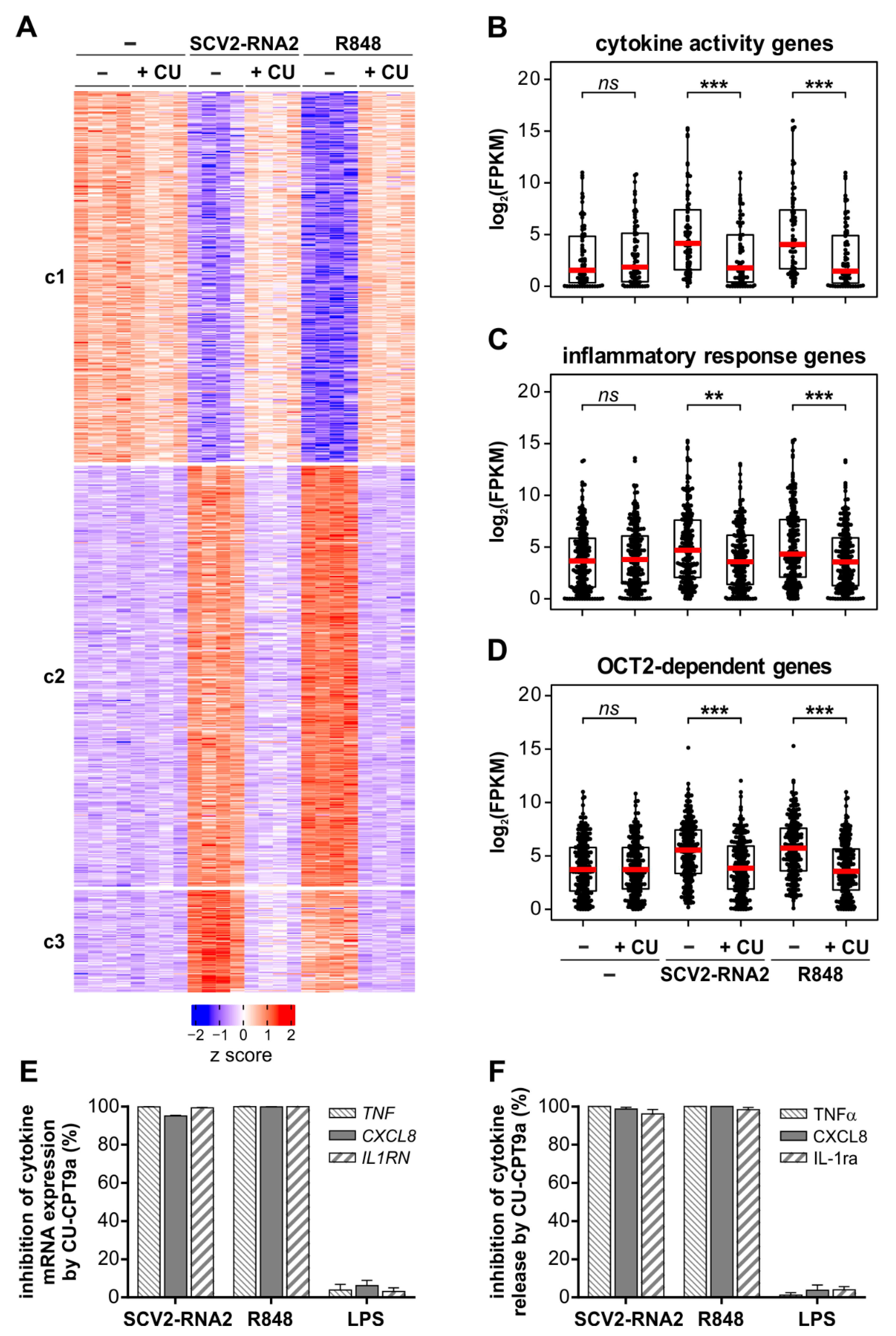Cells 11 03785 g004 Cells 11 03785 g004