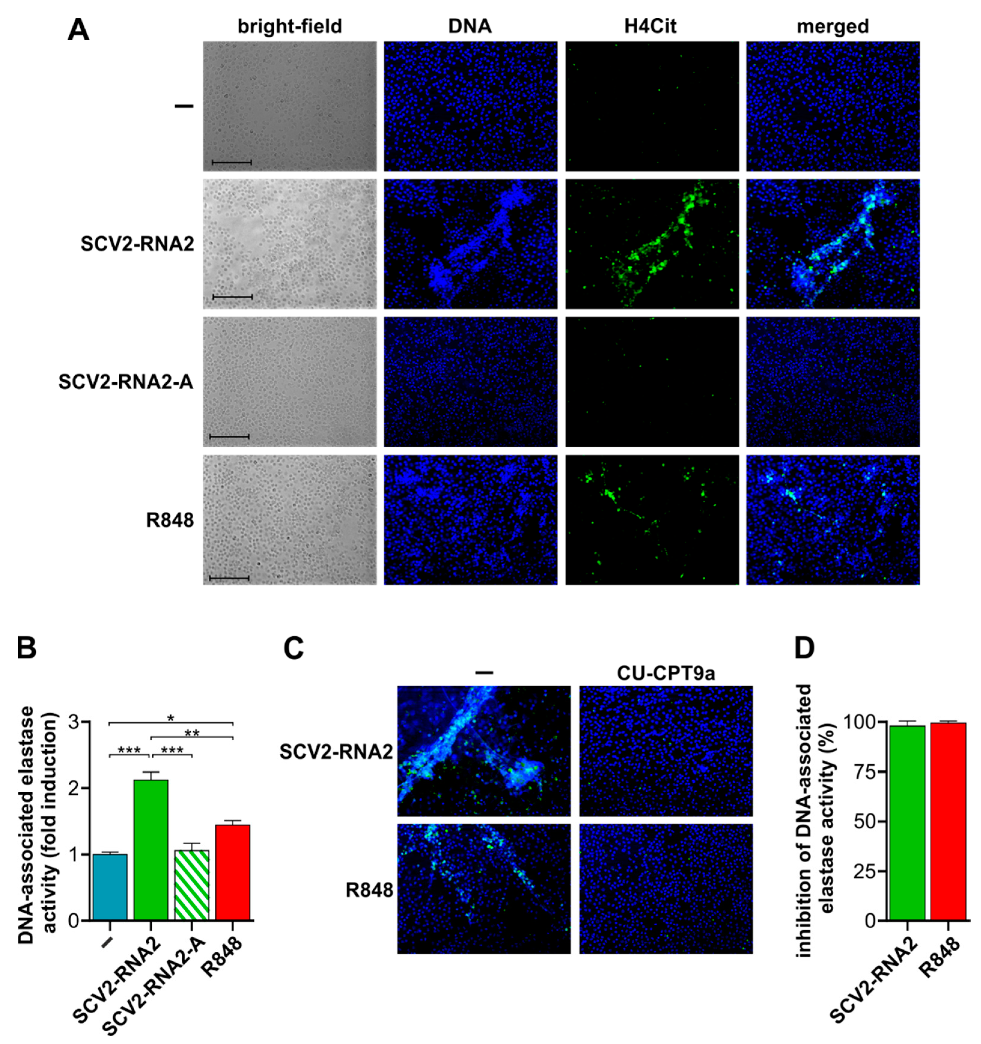 Cells 11 03785 g005 Cells 11 03785 g005
