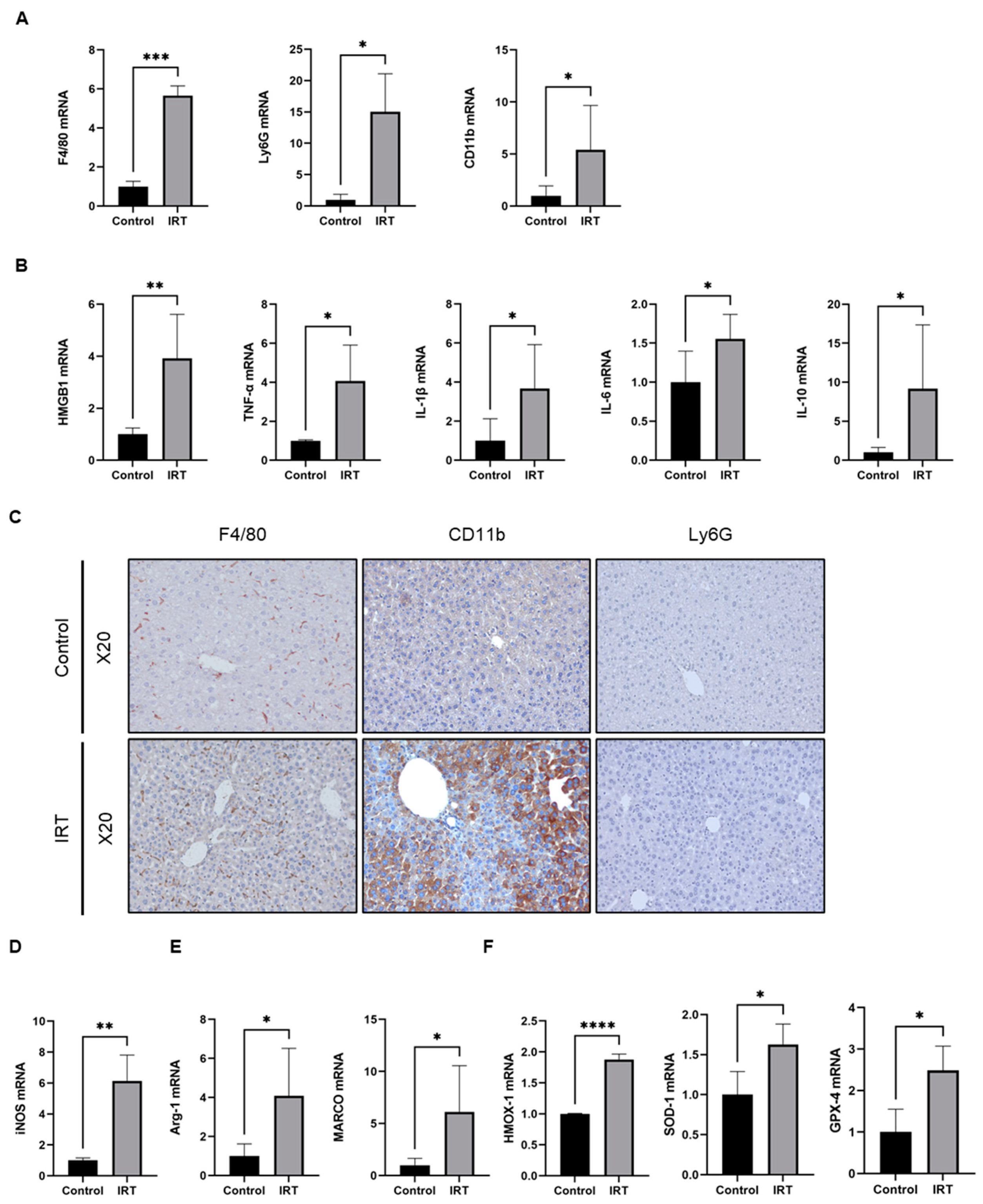 Cells 11 03791 g002 Cells 11 03791 g002
