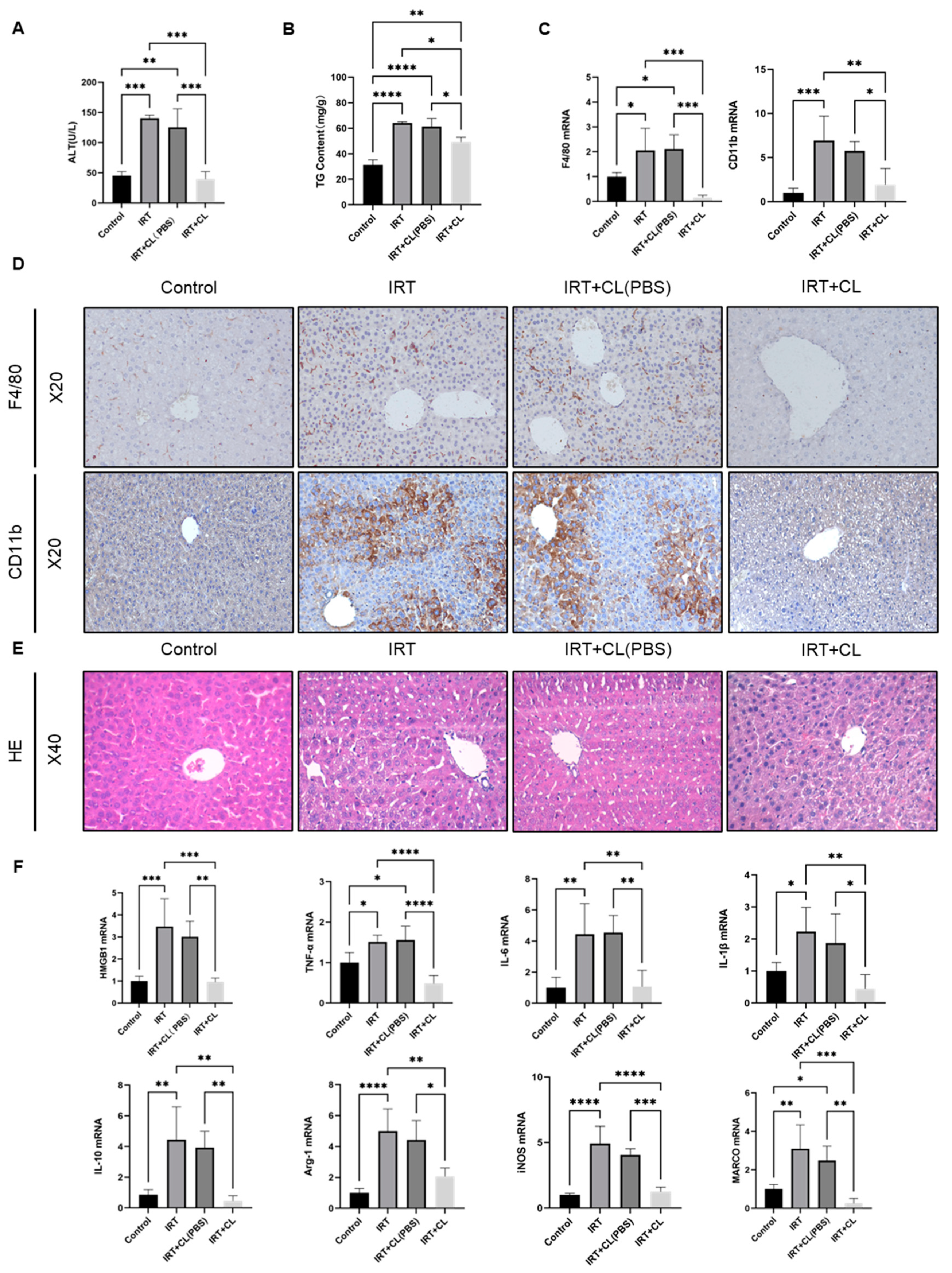 Cells 11 03791 g003 Cells 11 03791 g003