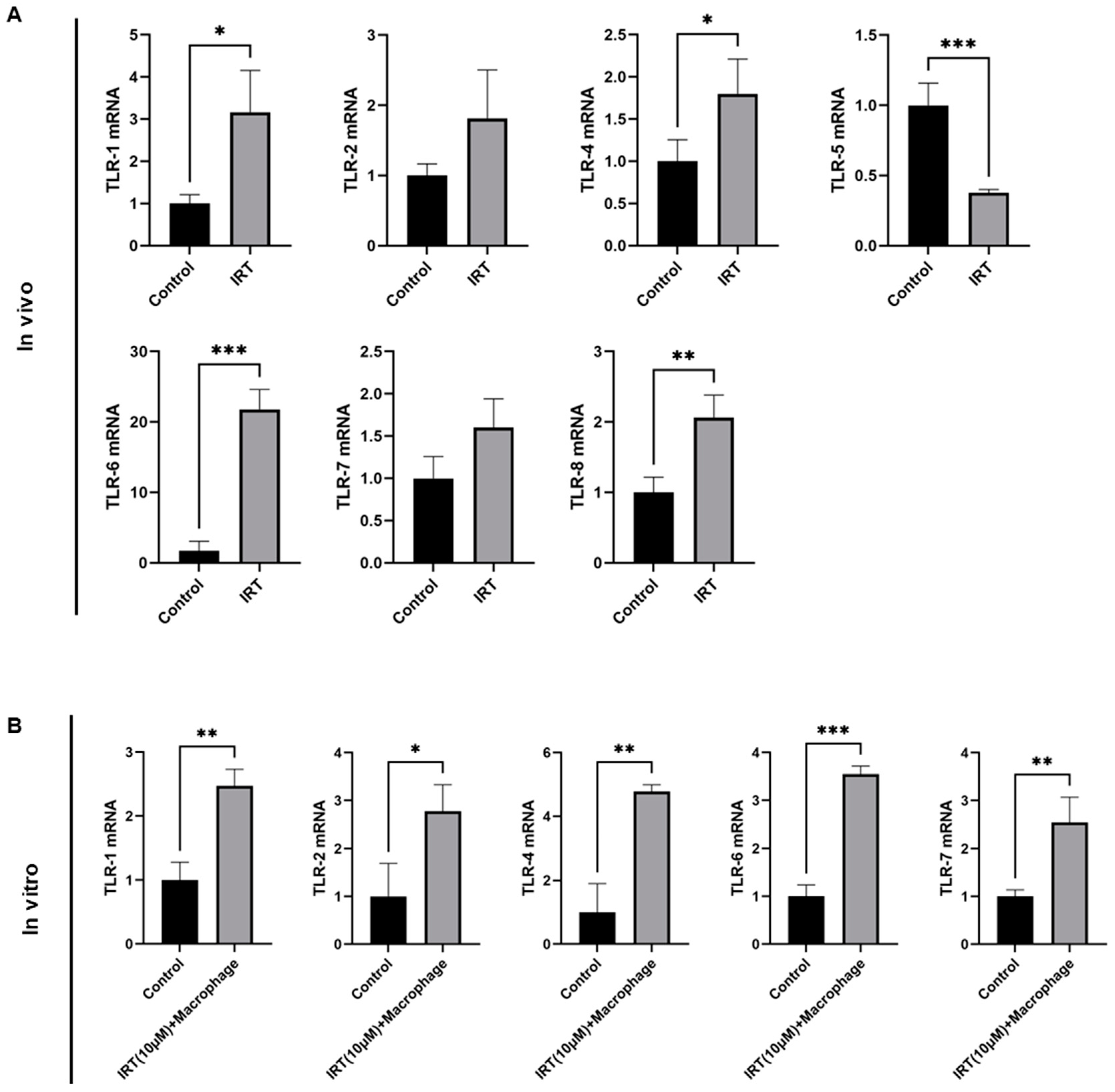 Cells 11 03791 g004 Cells 11 03791 g004