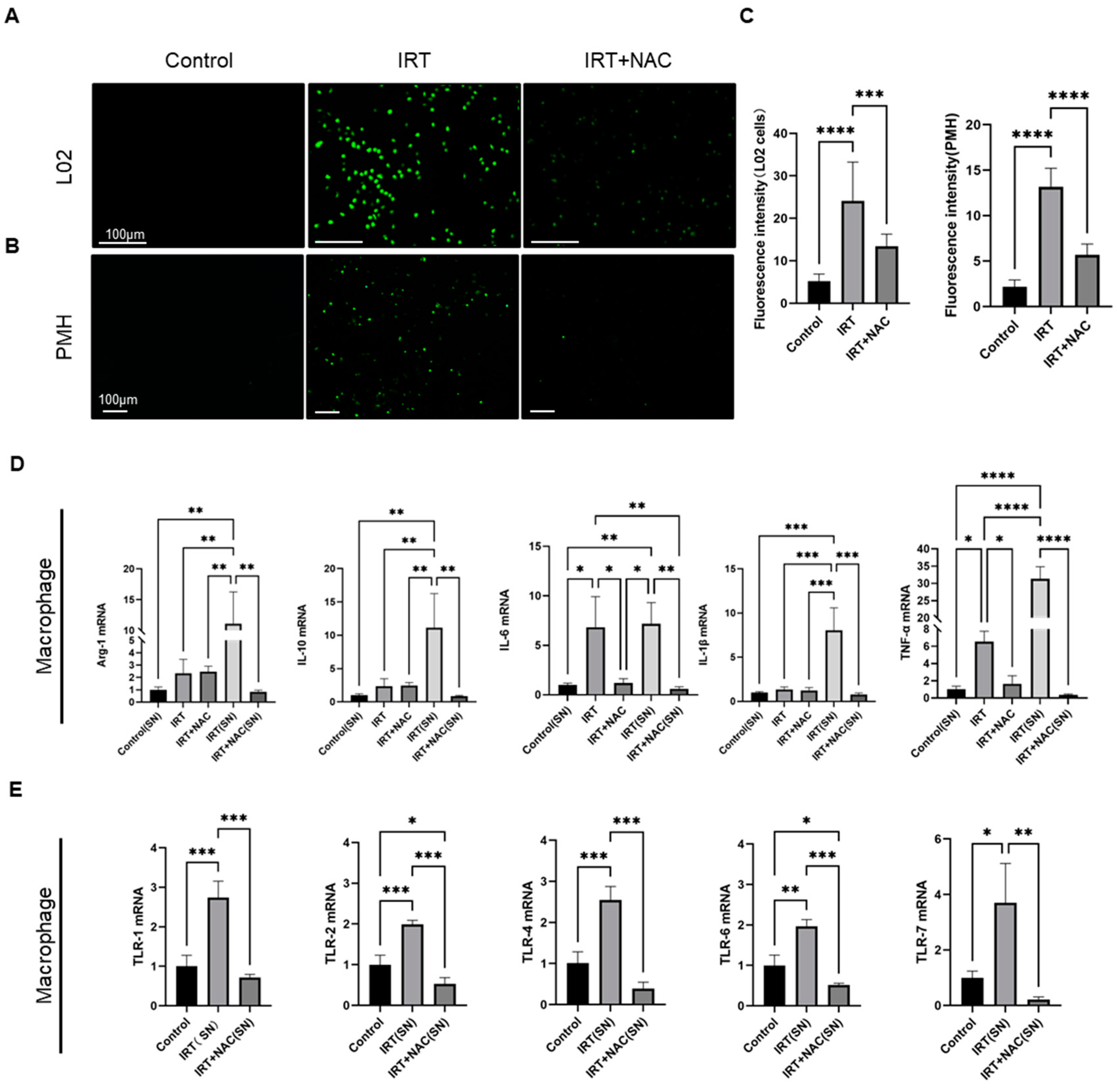 Cells 11 03791 g005 Cells 11 03791 g005