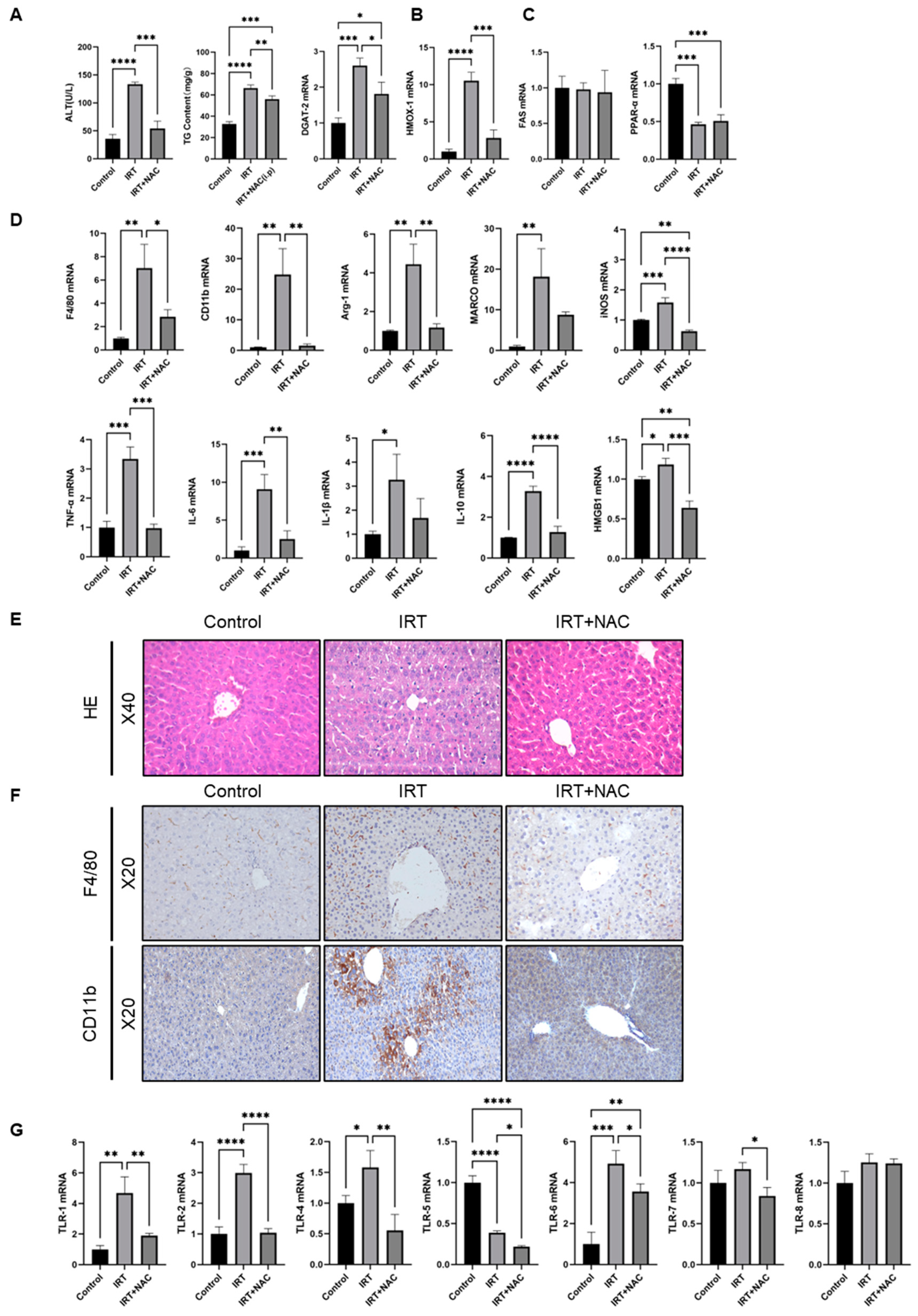 Cells 11 03791 g007 Cells 11 03791 g007