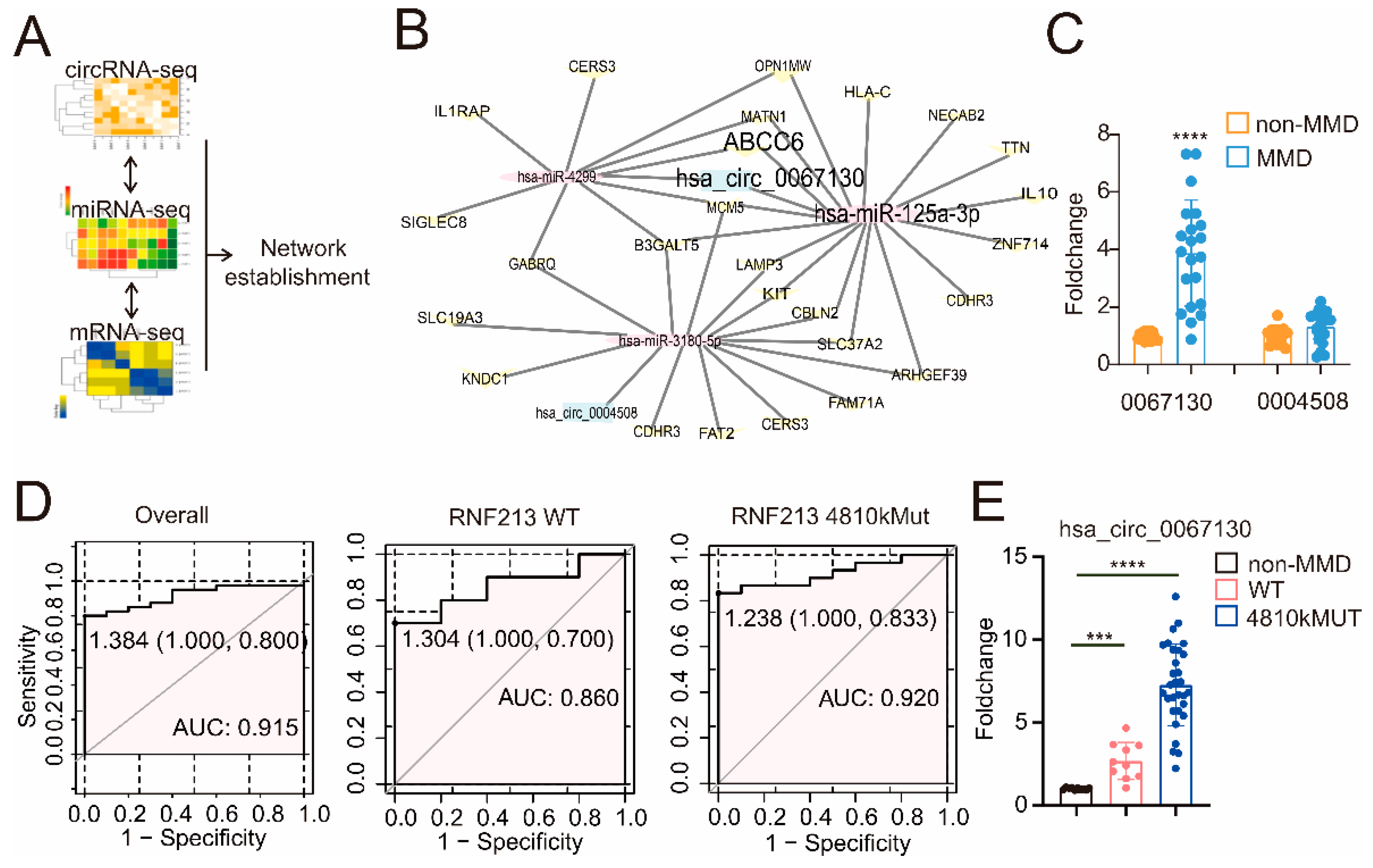 Cells 11 03792 g001 Cells 11 03792 g001