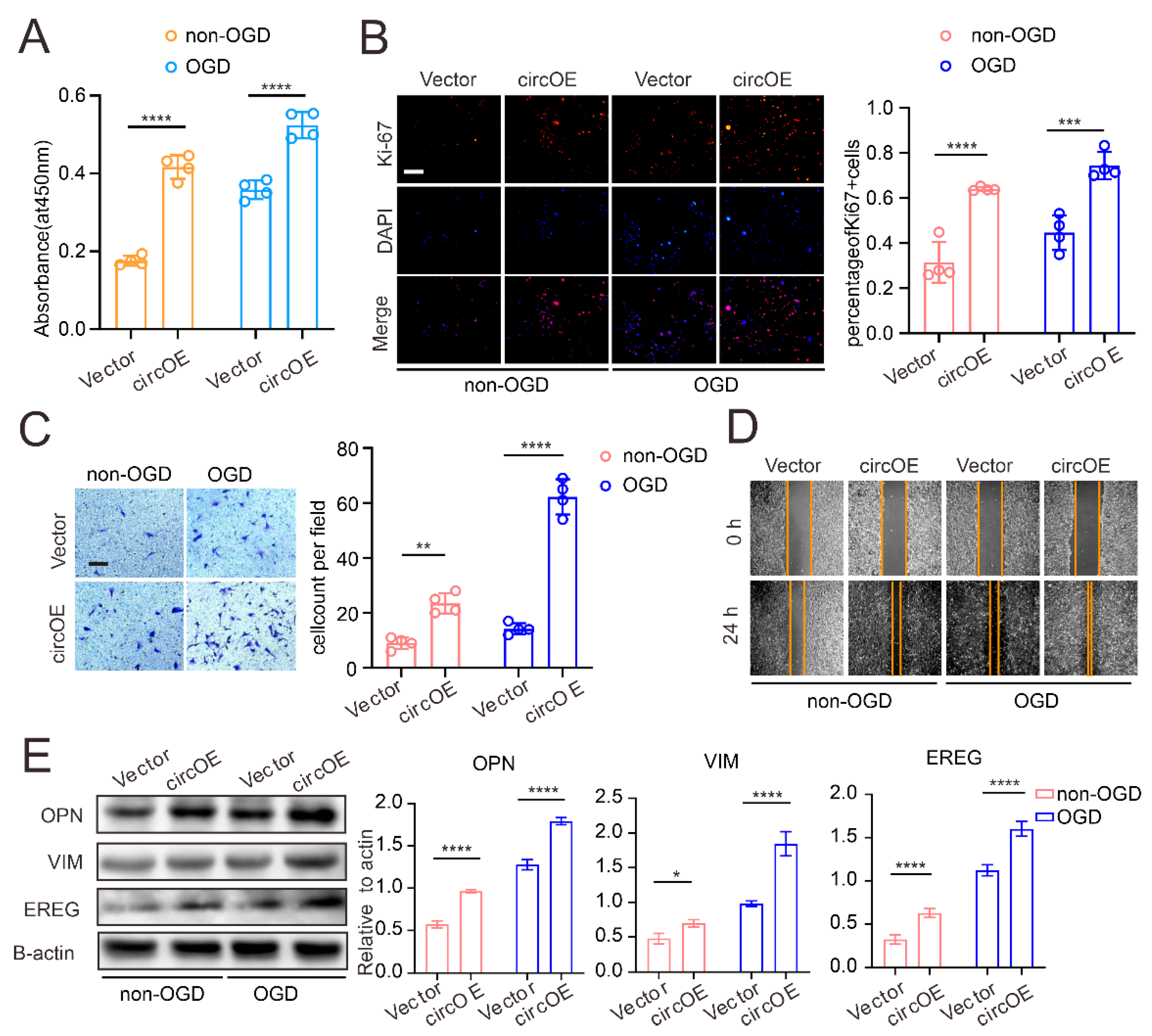 Cells 11 03792 g003 Cells 11 03792 g003