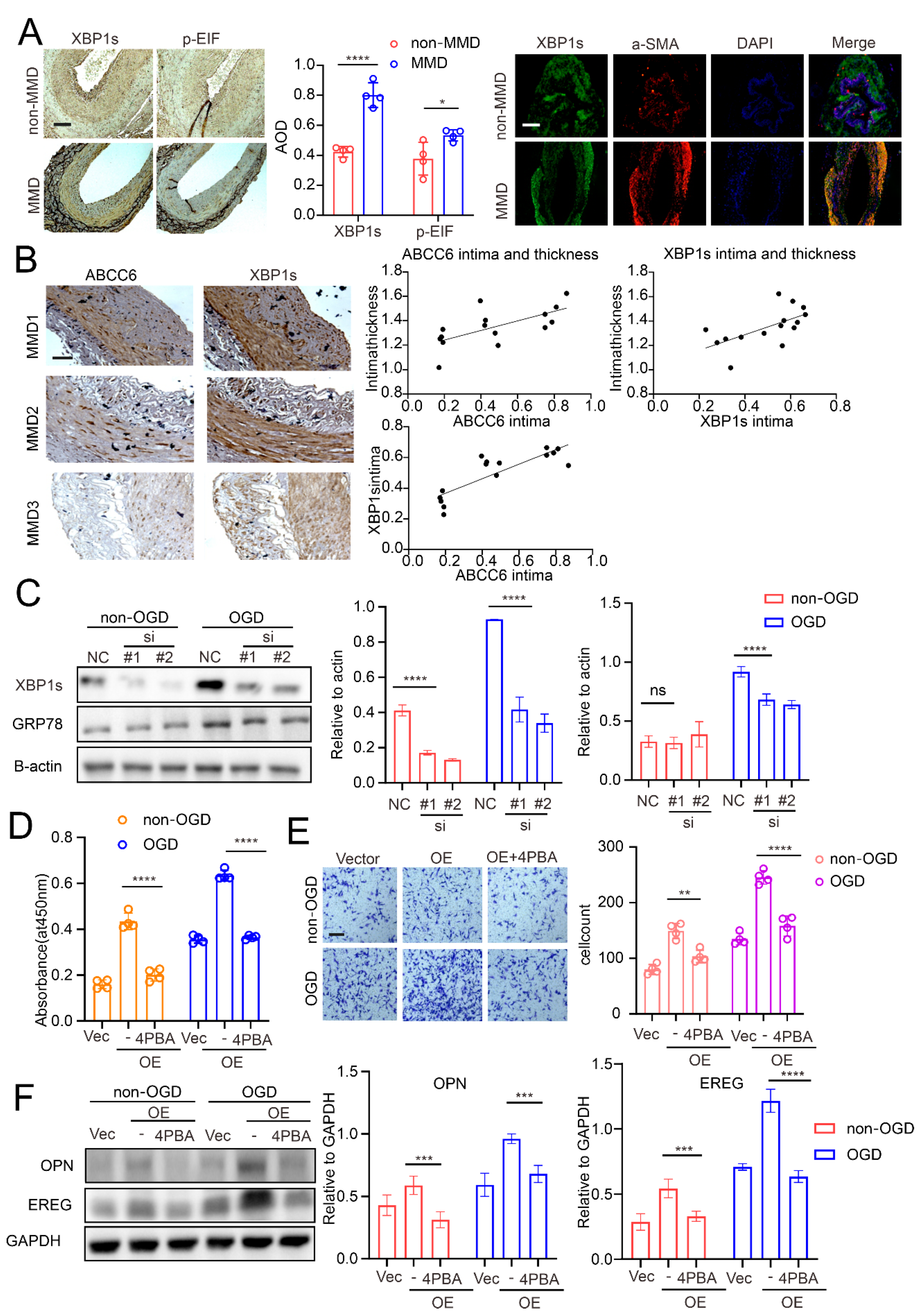 Cells 11 03792 g006 Cells 11 03792 g006