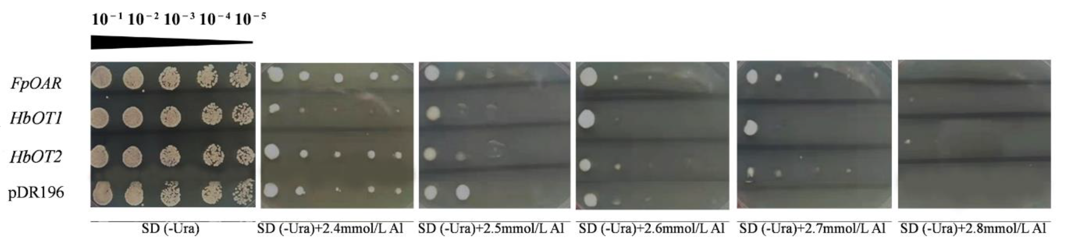 Cells 11 03793 g008 Cells 11 03793 g008