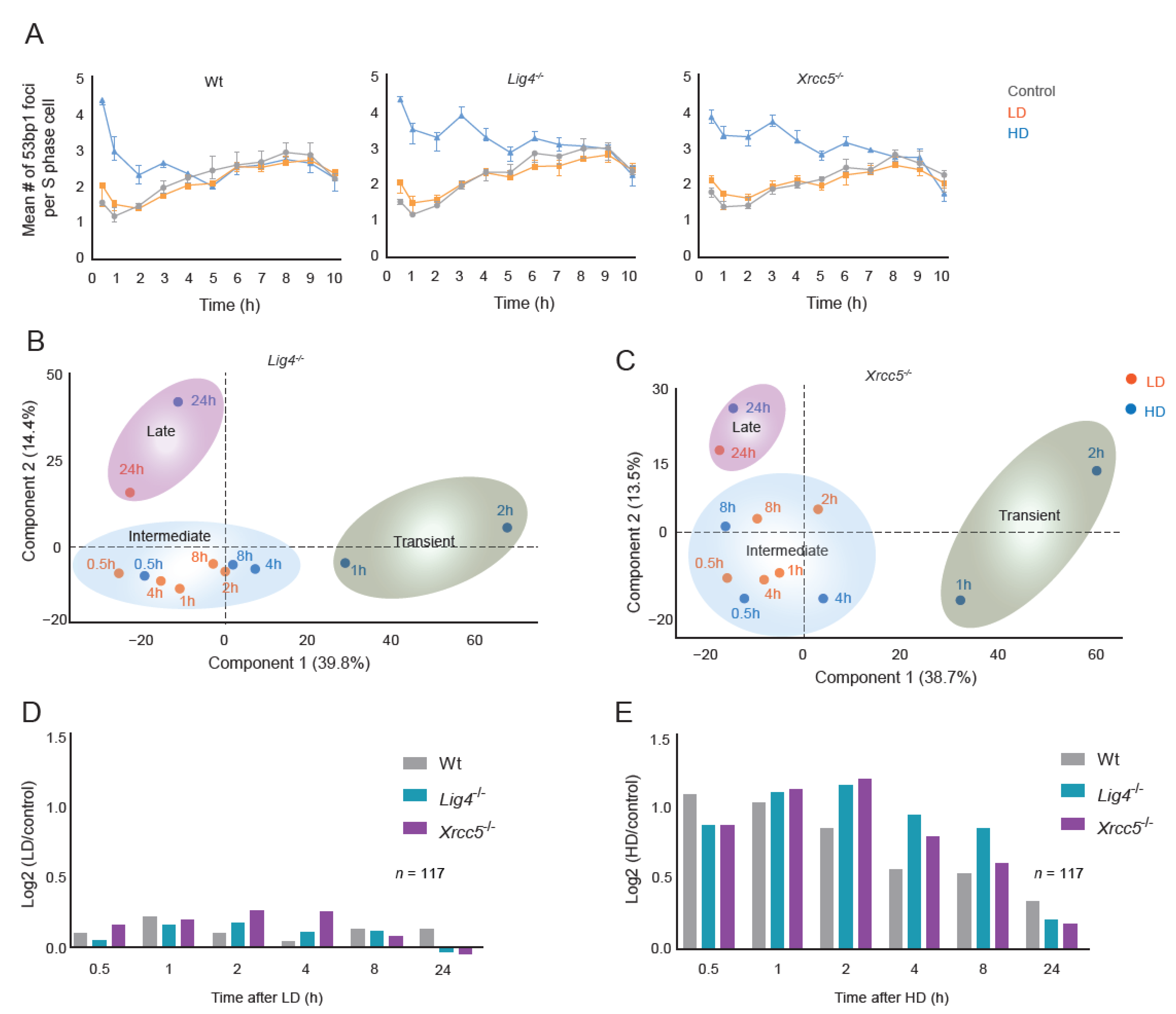 Cells 11 03794 g003 Cells 11 03794 g003