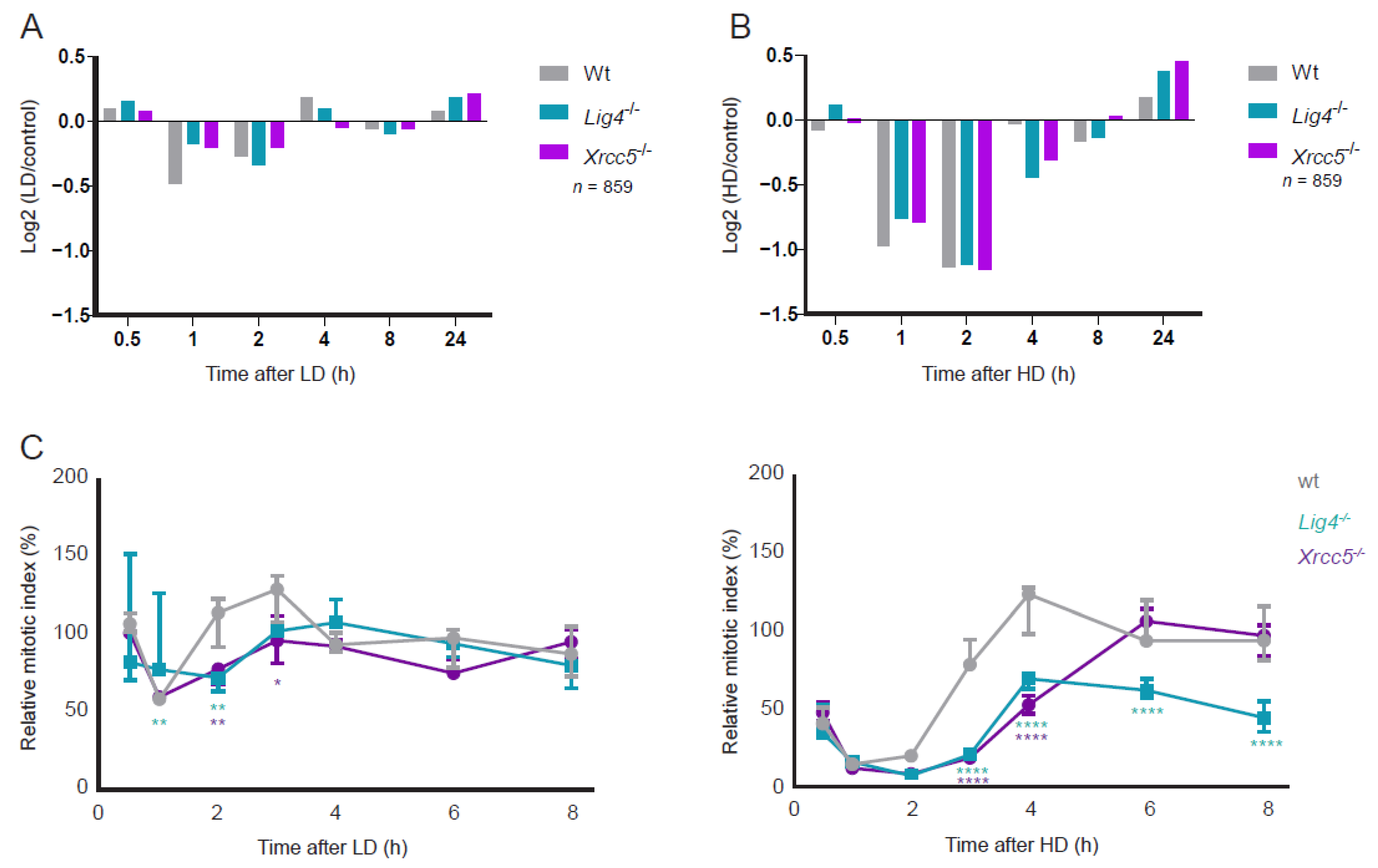 Cells 11 03794 g004 Cells 11 03794 g004