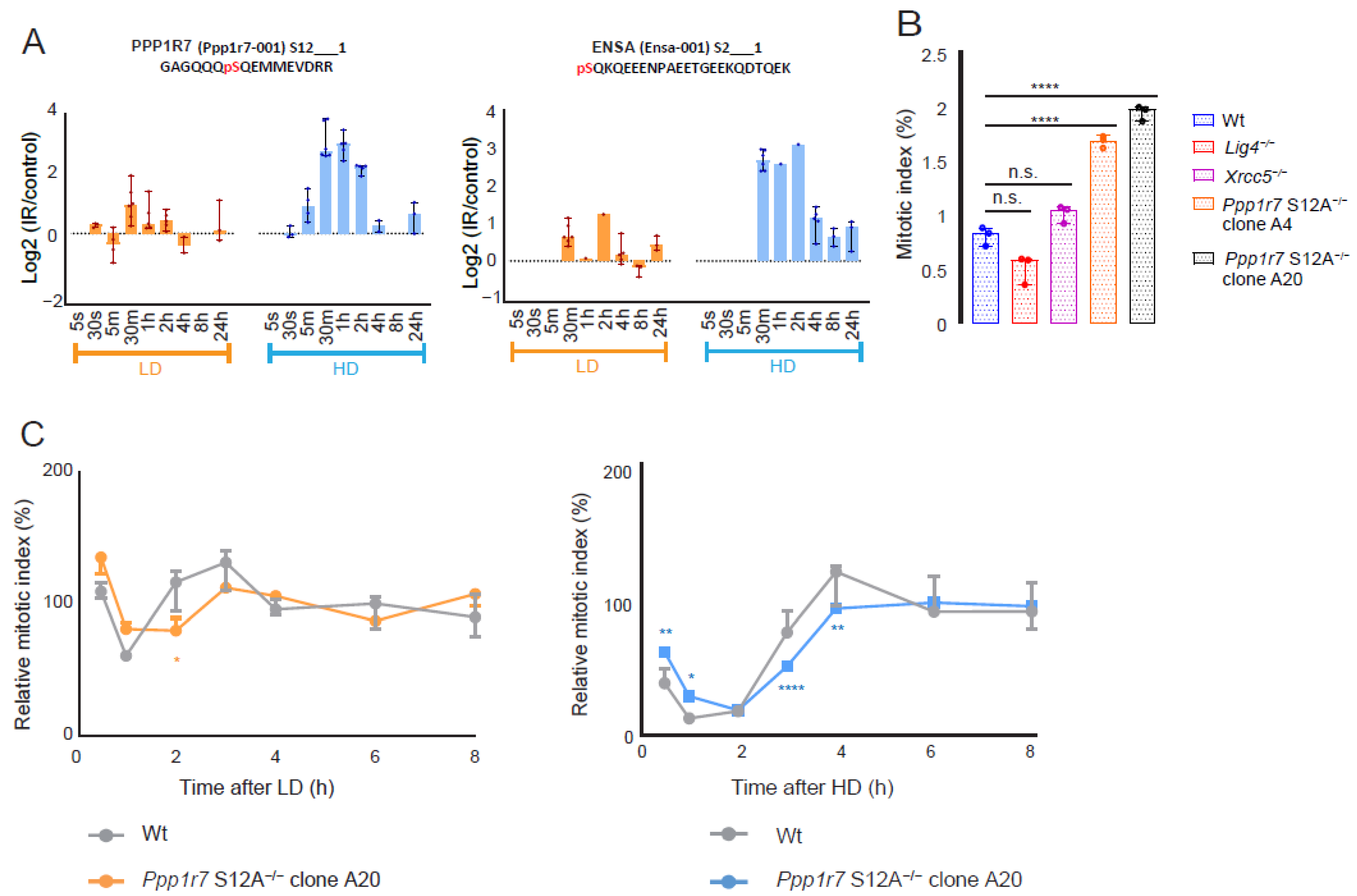 Cells 11 03794 g005 Cells 11 03794 g005