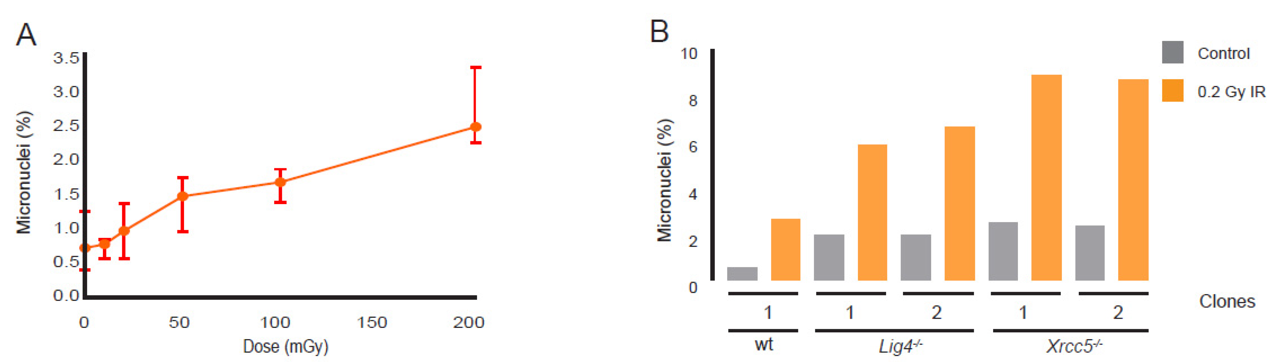 Cells 11 03794 g006 Cells 11 03794 g006