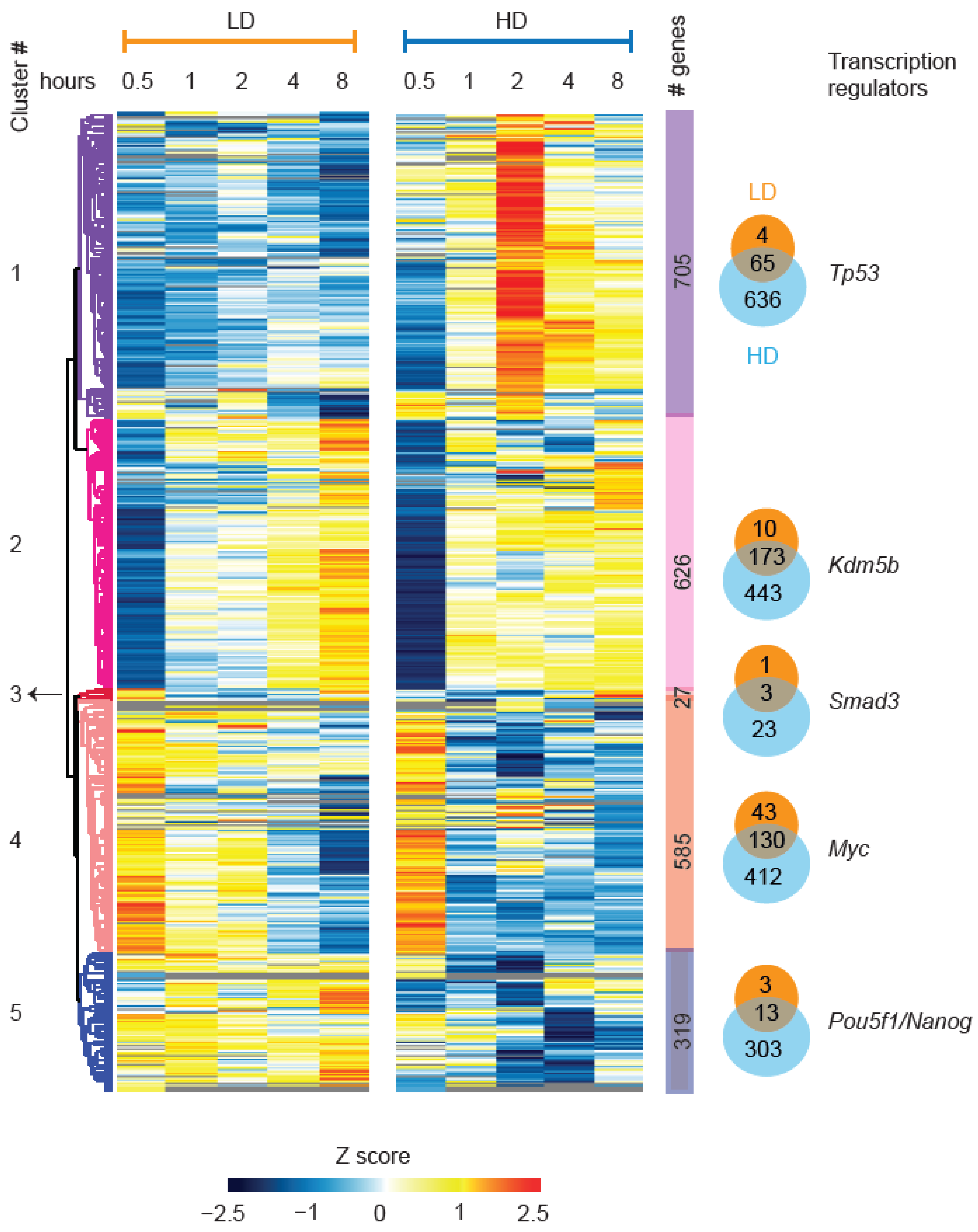 Cells 11 03794 g007 Cells 11 03794 g007