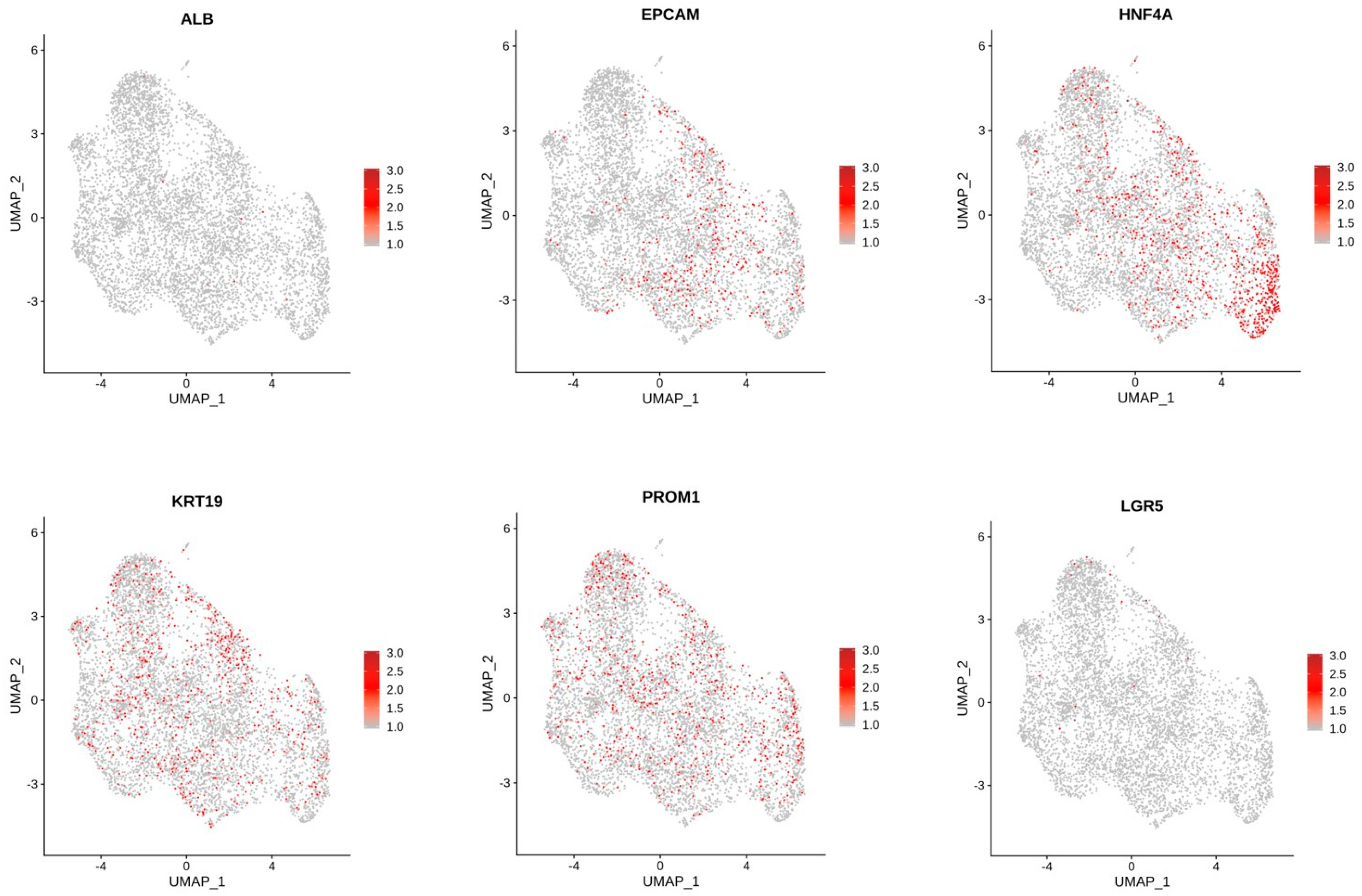 Cells 11 03797 g010 Cells 11 03797 g010