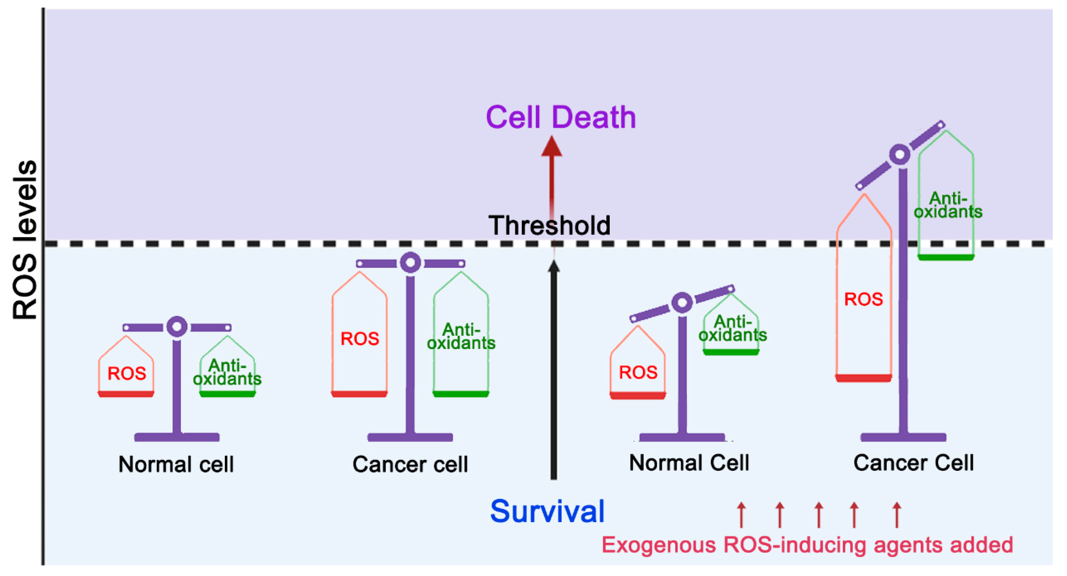 Cells 11 03798 g001 Cells 11 03798 g001