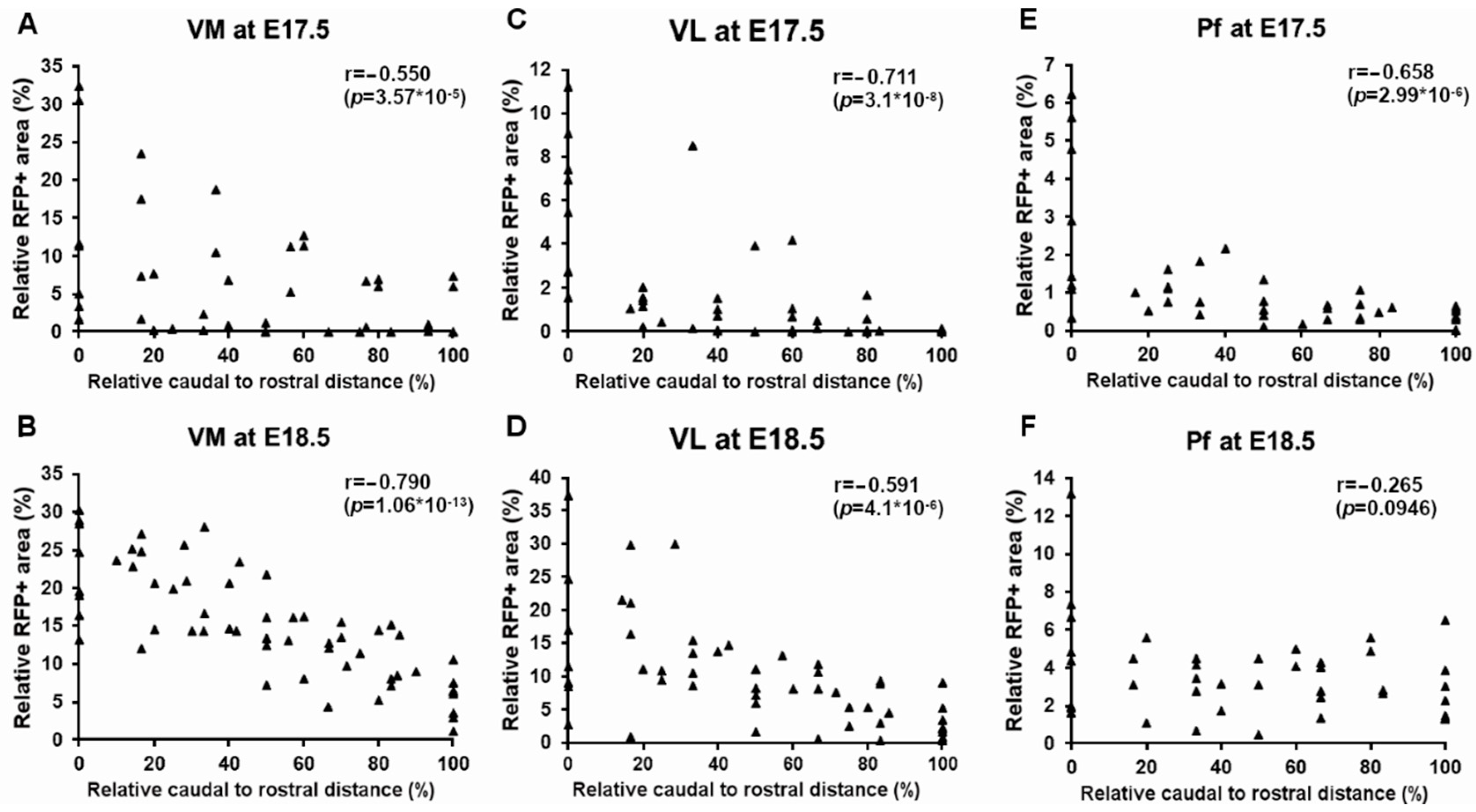 Cells 11 03800 g010 Cells 11 03800 g010