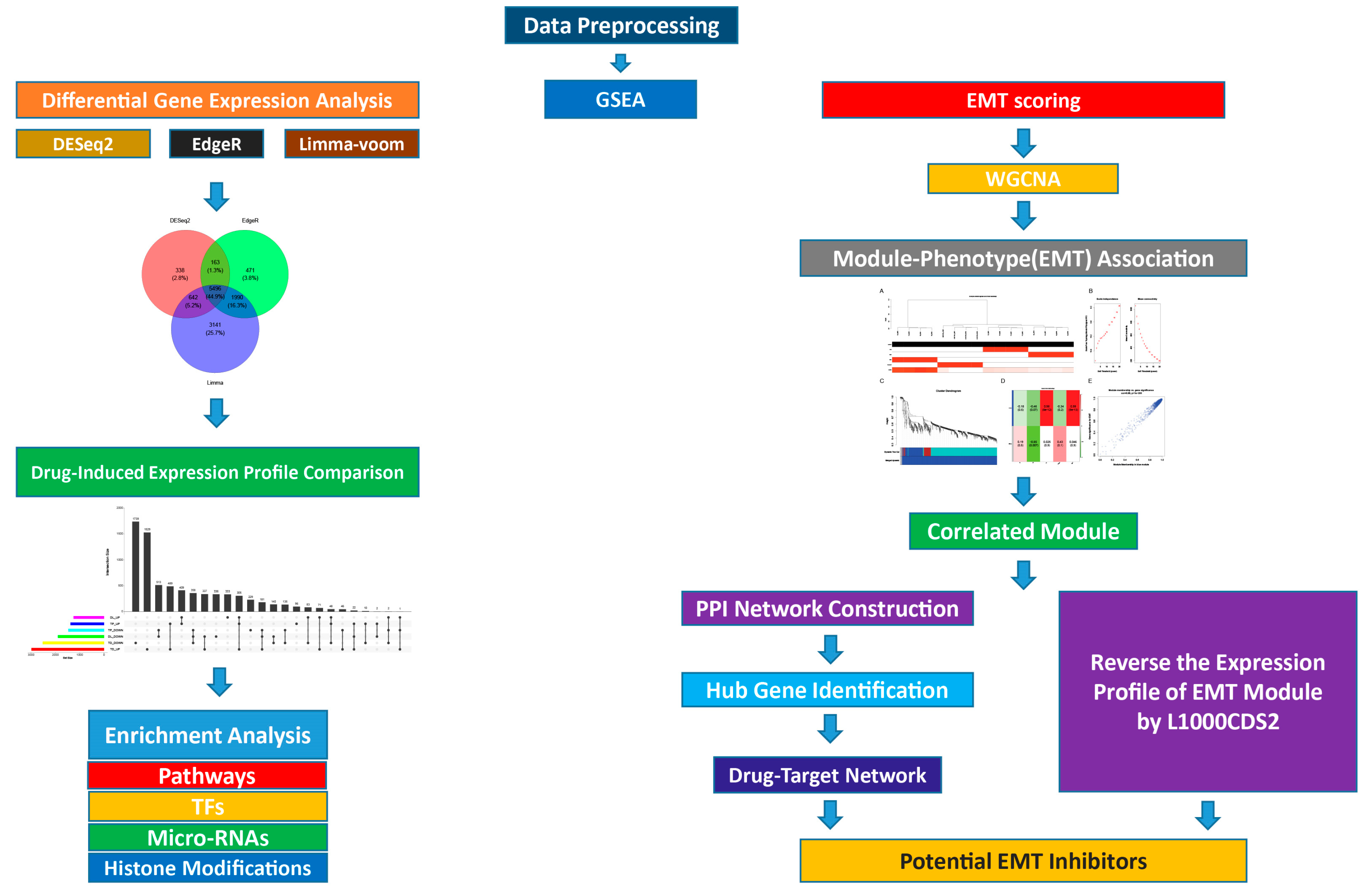 Cells 11 03801 g001 Cells 11 03801 g001