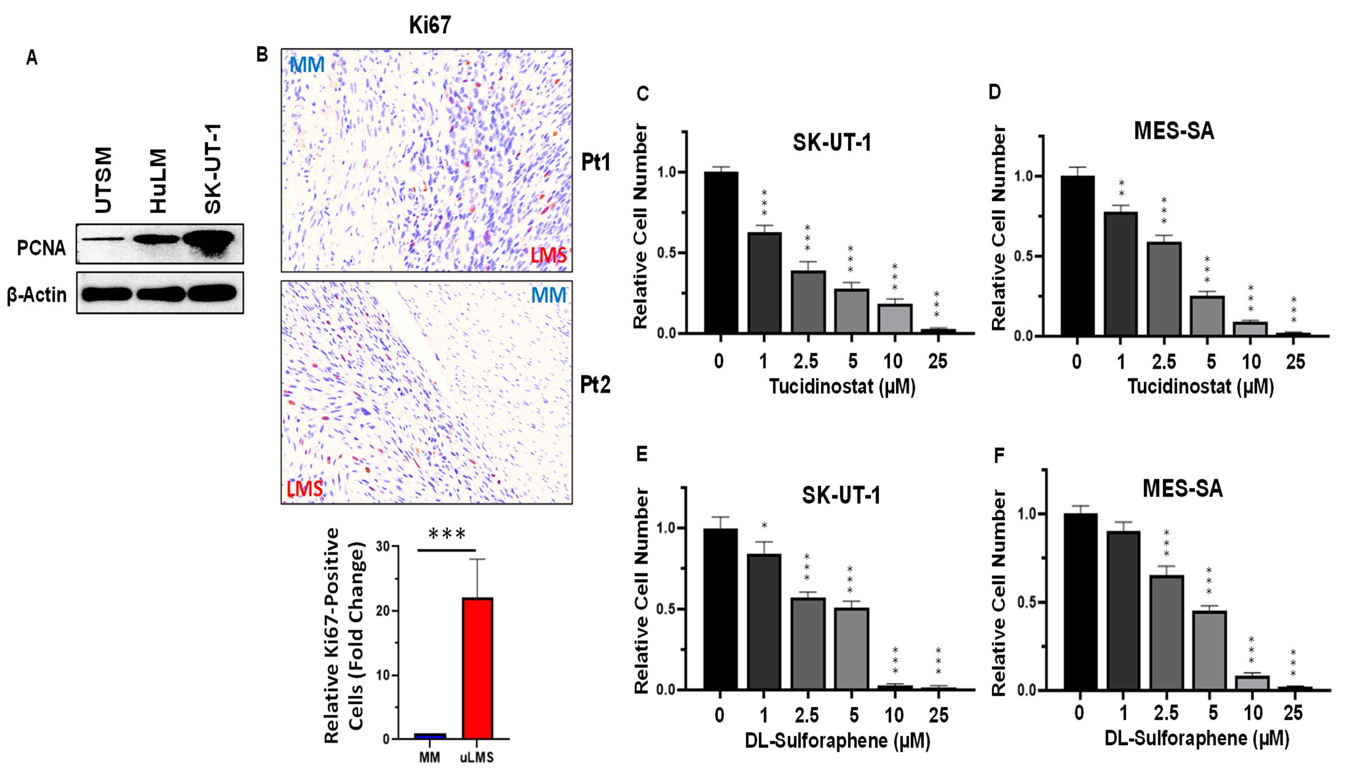 Cells 11 03801 g005 Cells 11 03801 g005