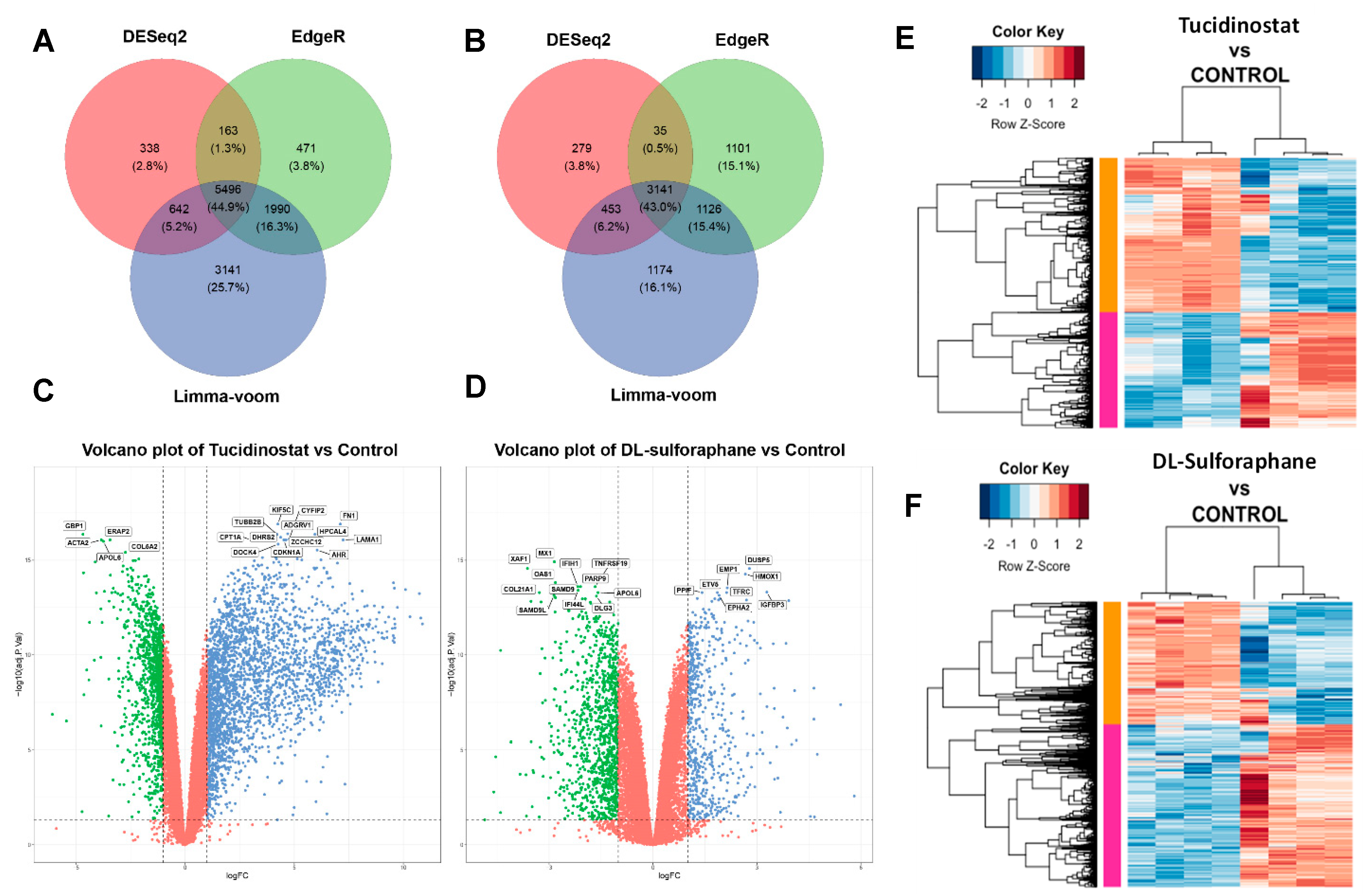 Cells 11 03801 g006 Cells 11 03801 g006