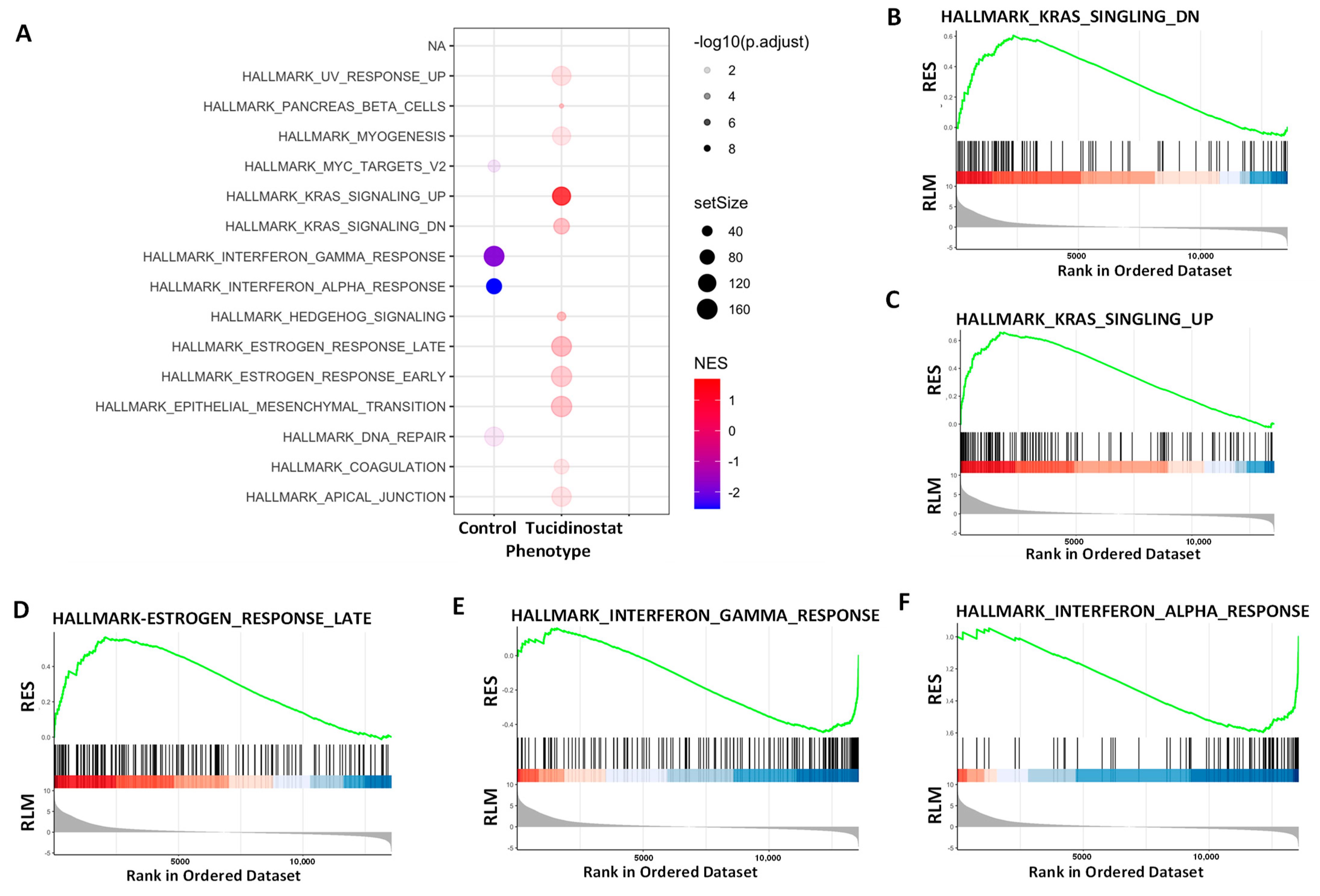Cells 11 03801 g007 Cells 11 03801 g007
