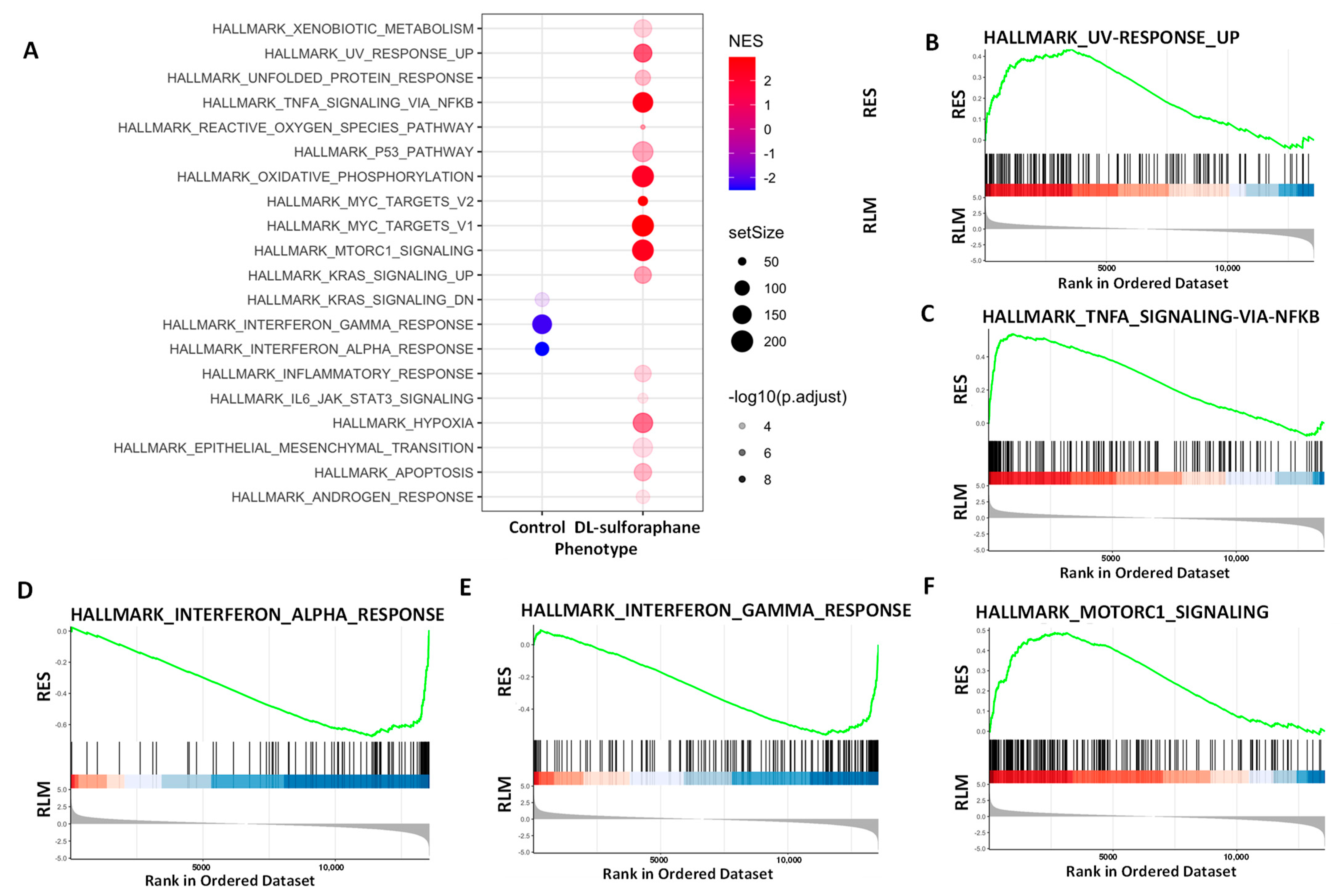 Cells 11 03801 g008 Cells 11 03801 g008