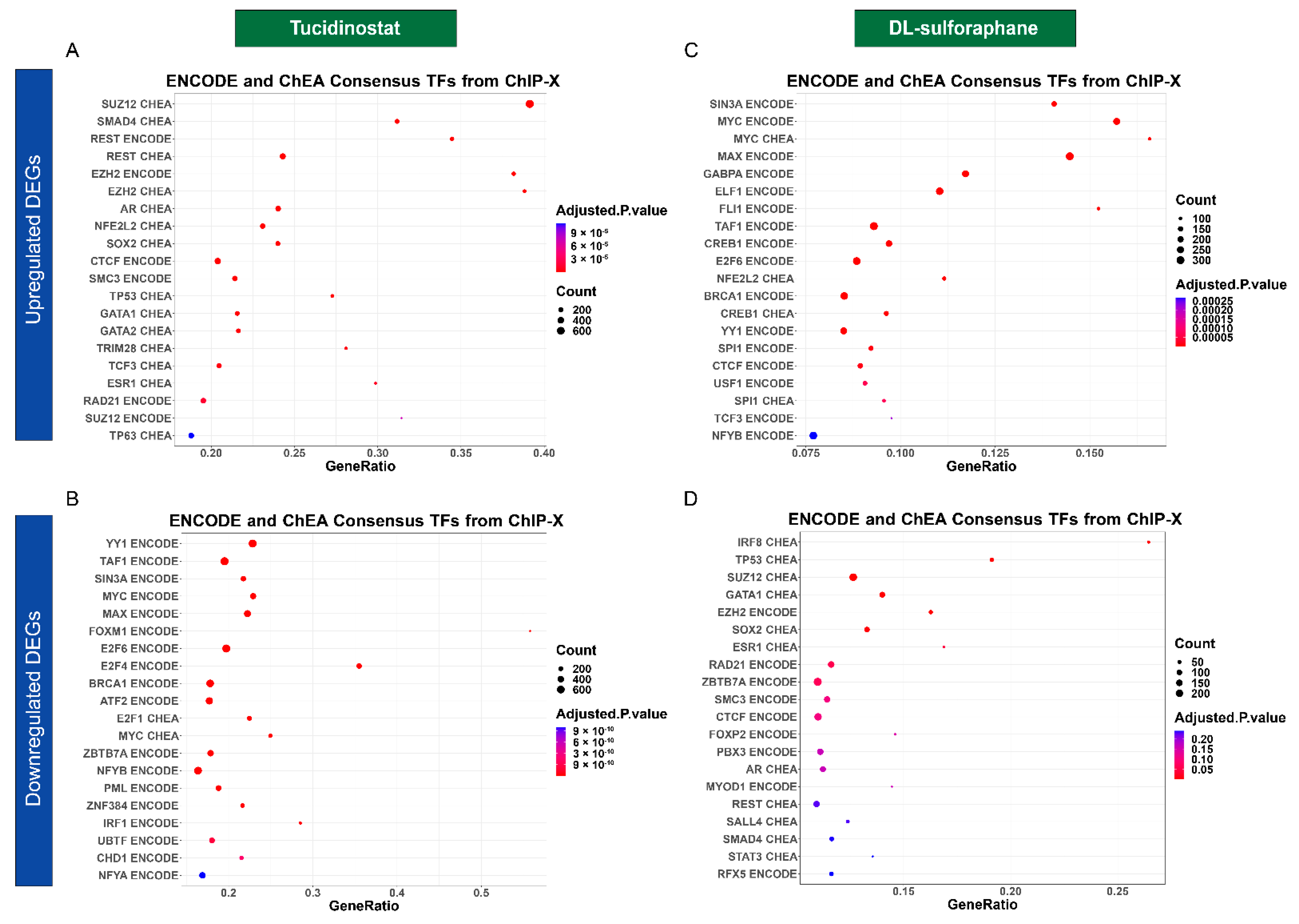 Cells 11 03801 g011 Cells 11 03801 g011