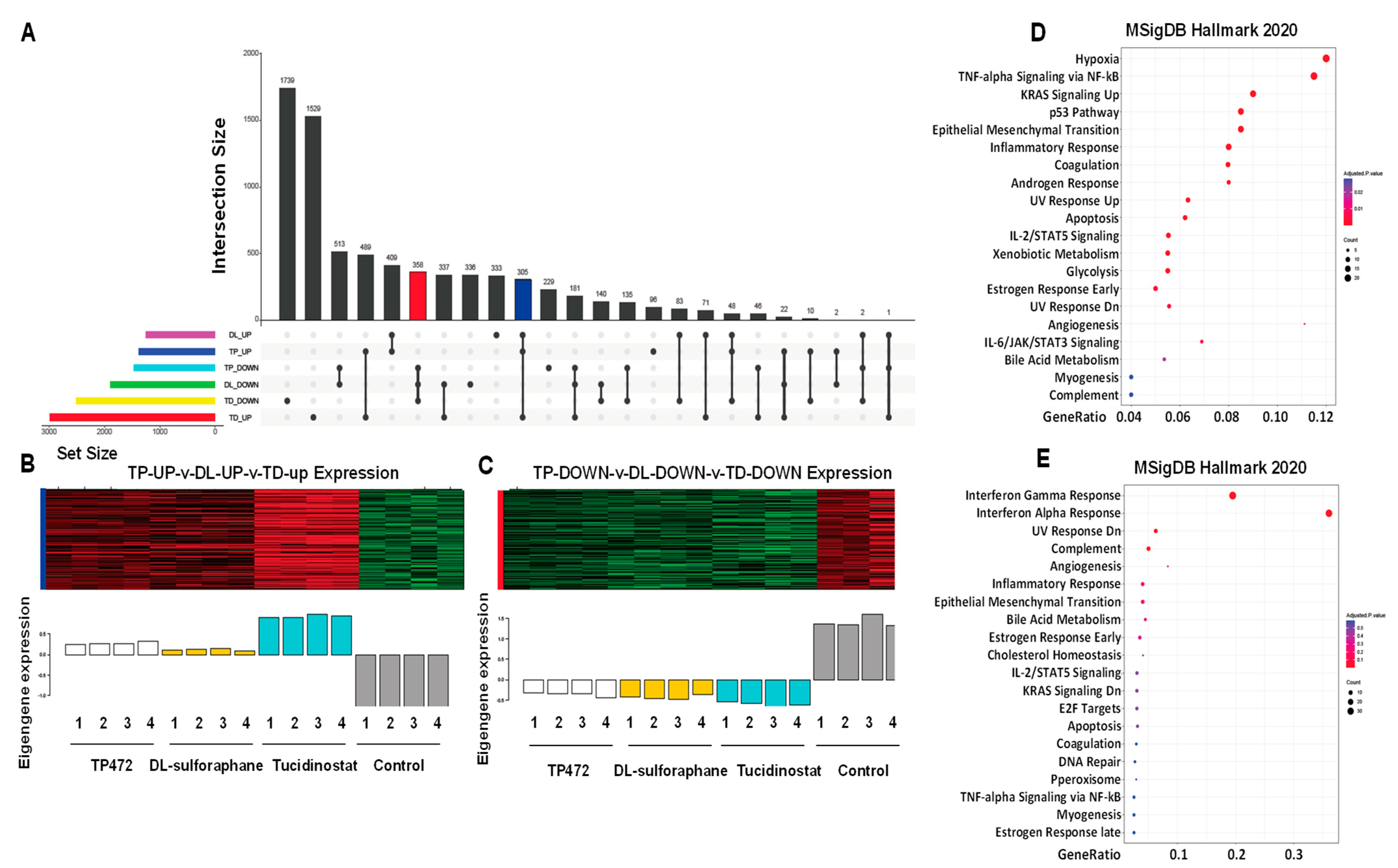 Cells 11 03801 g013 Cells 11 03801 g013