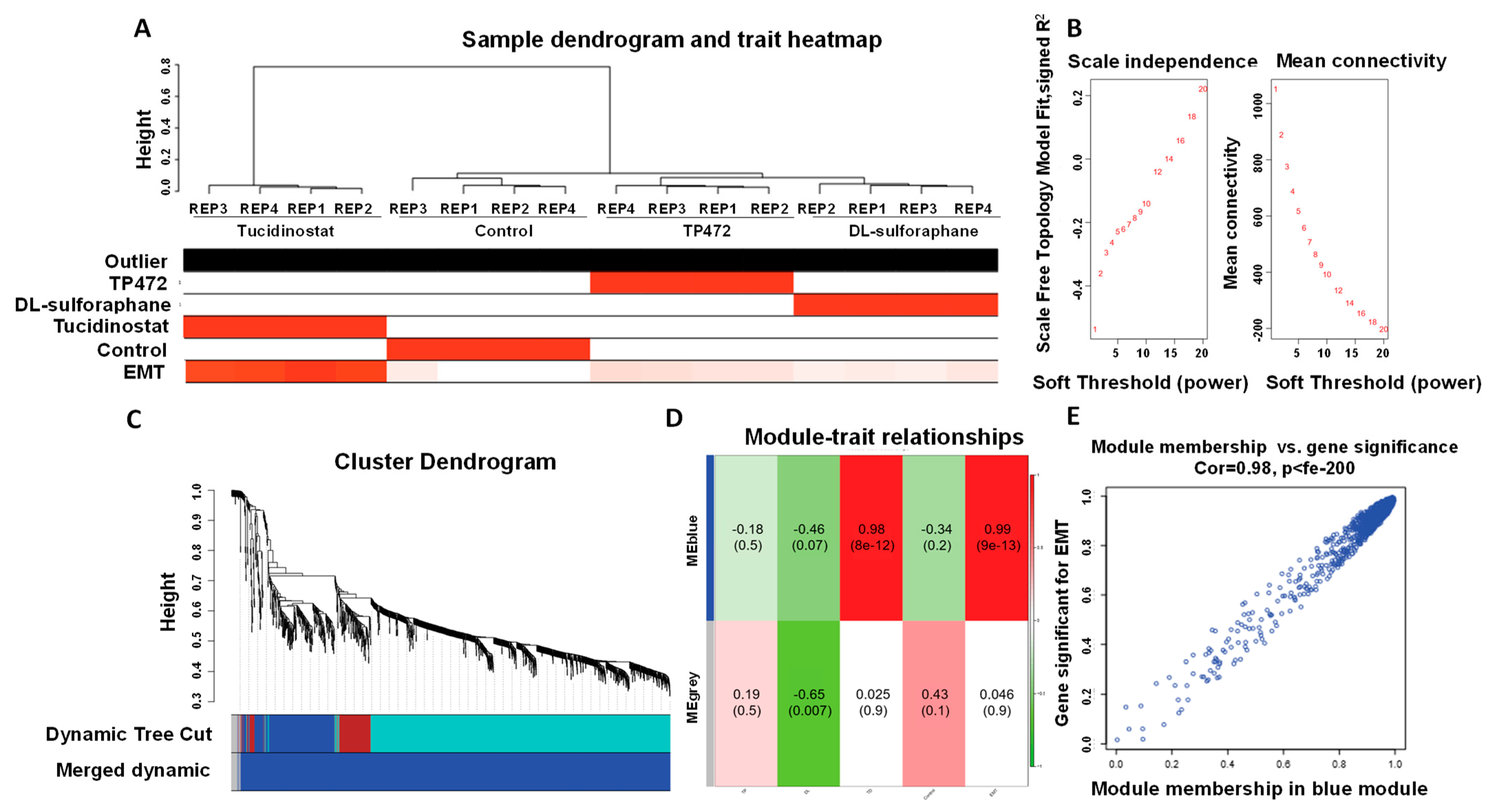 Cells 11 03801 g015 Cells 11 03801 g015