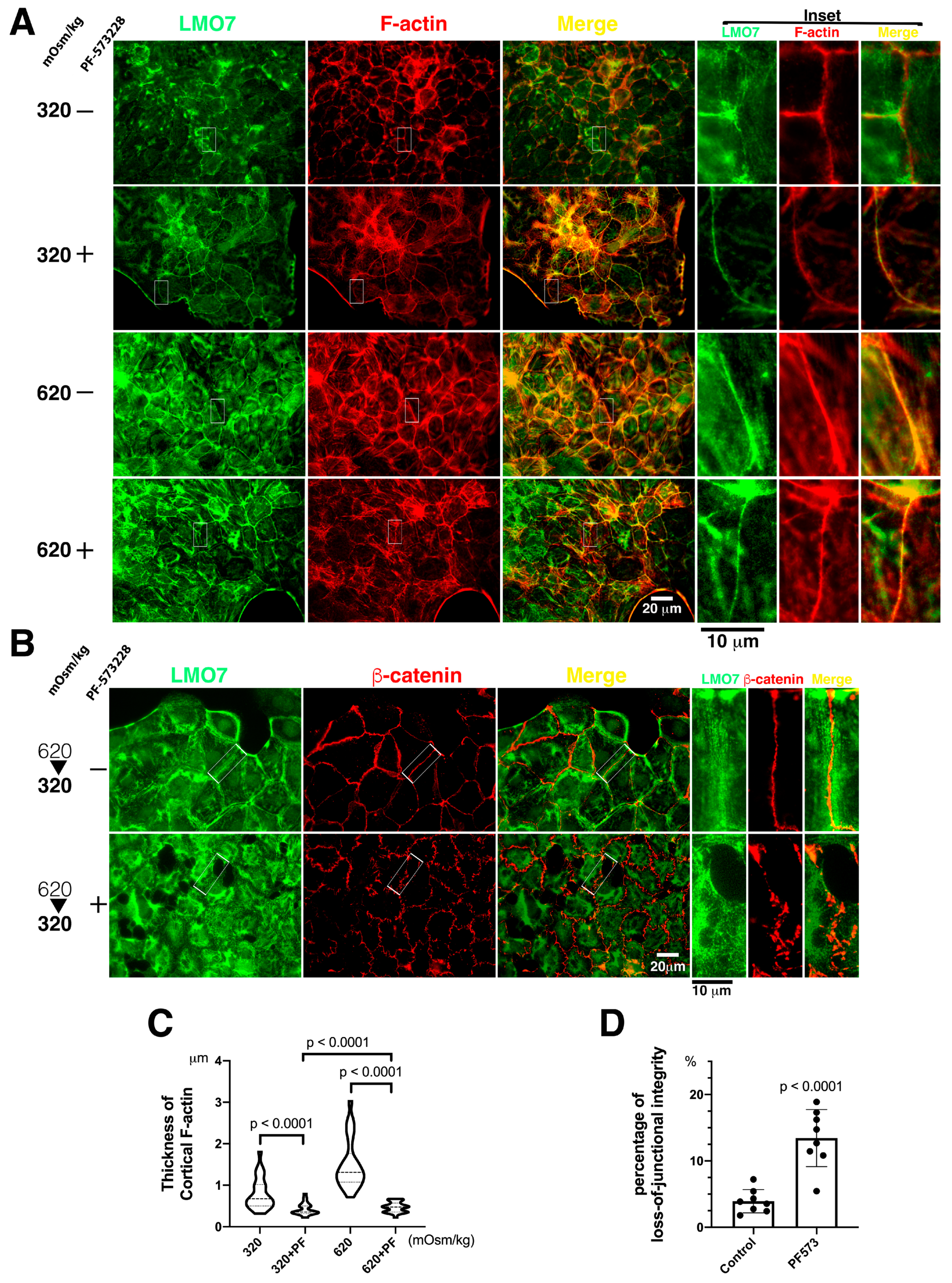 Cells 11 03805 g005 Cells 11 03805 g005