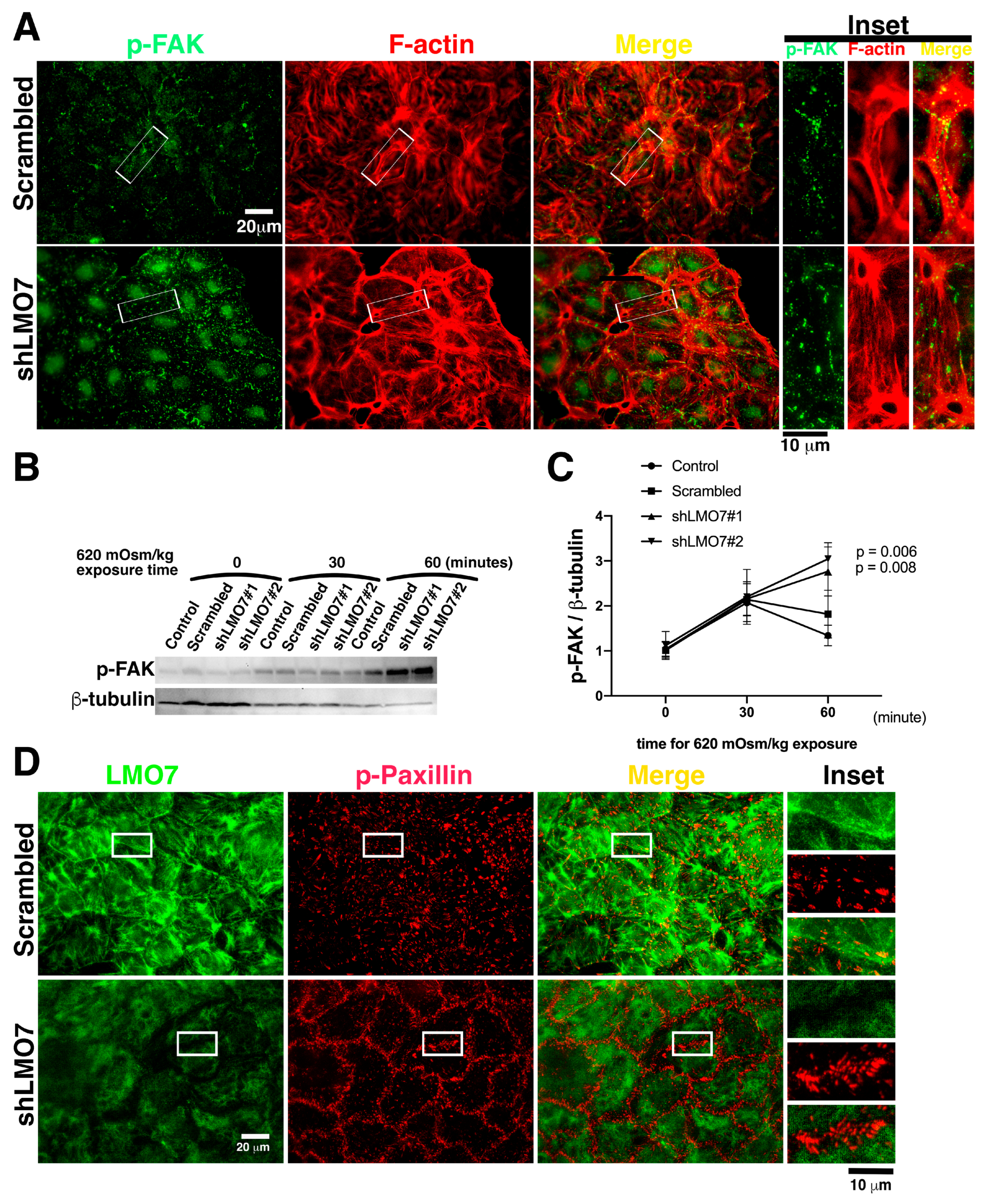 Cells 11 03805 g006 Cells 11 03805 g006