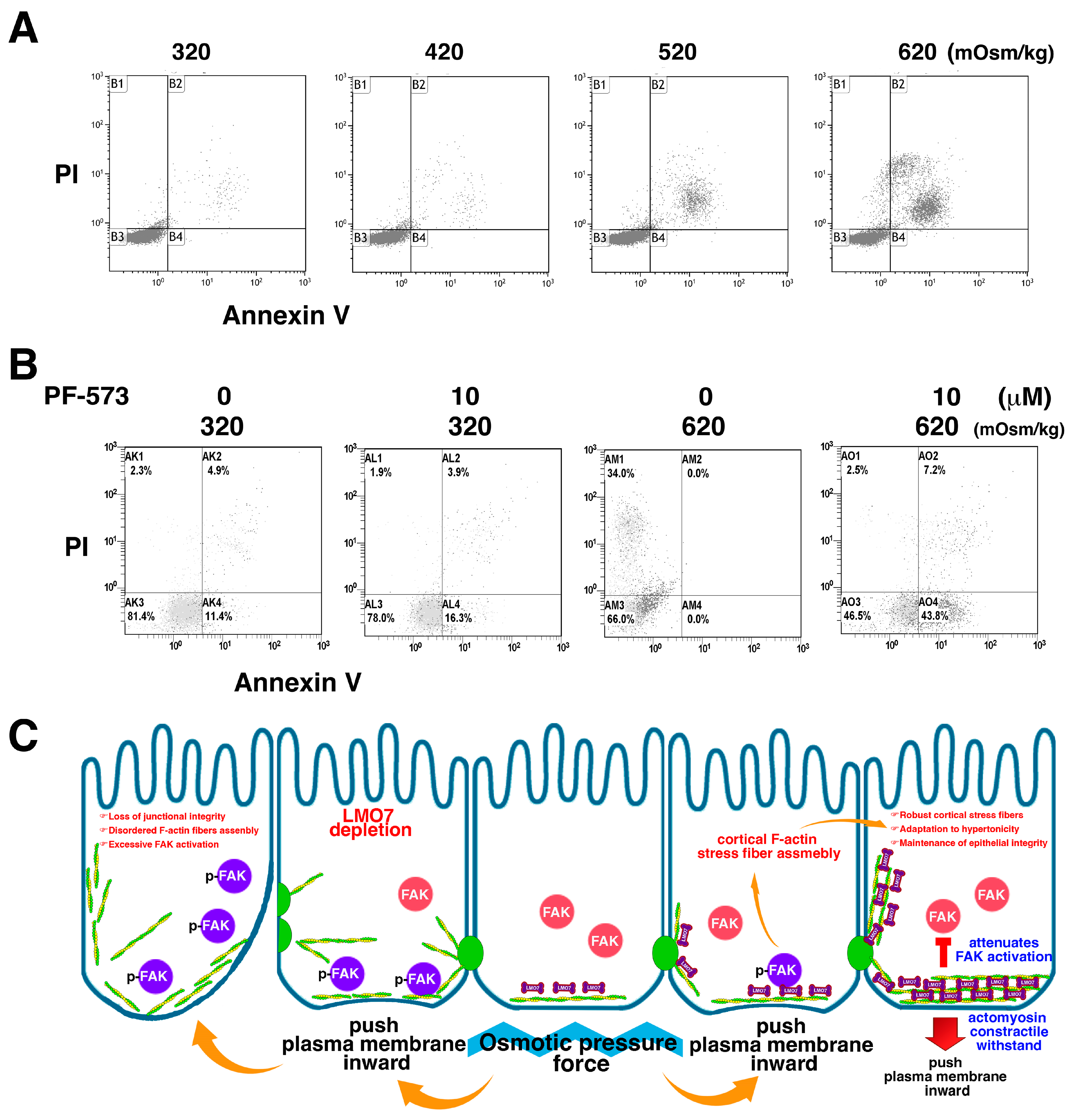 Cells 11 03805 g007 Cells 11 03805 g007