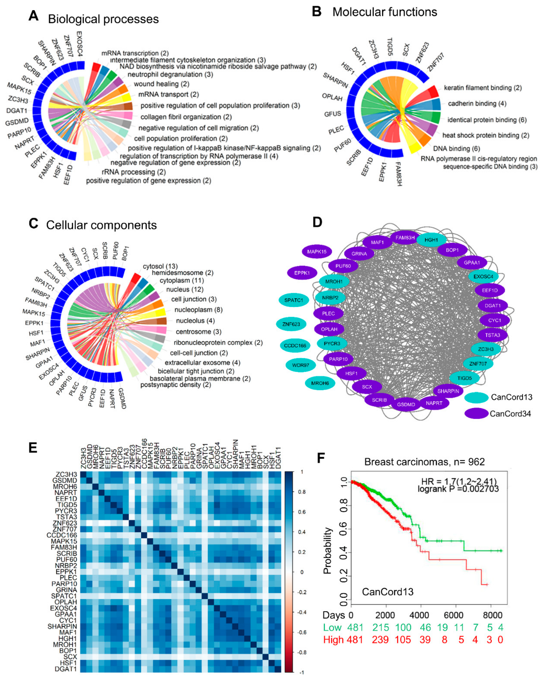 Cells 11 03806 g003 Cells 11 03806 g003