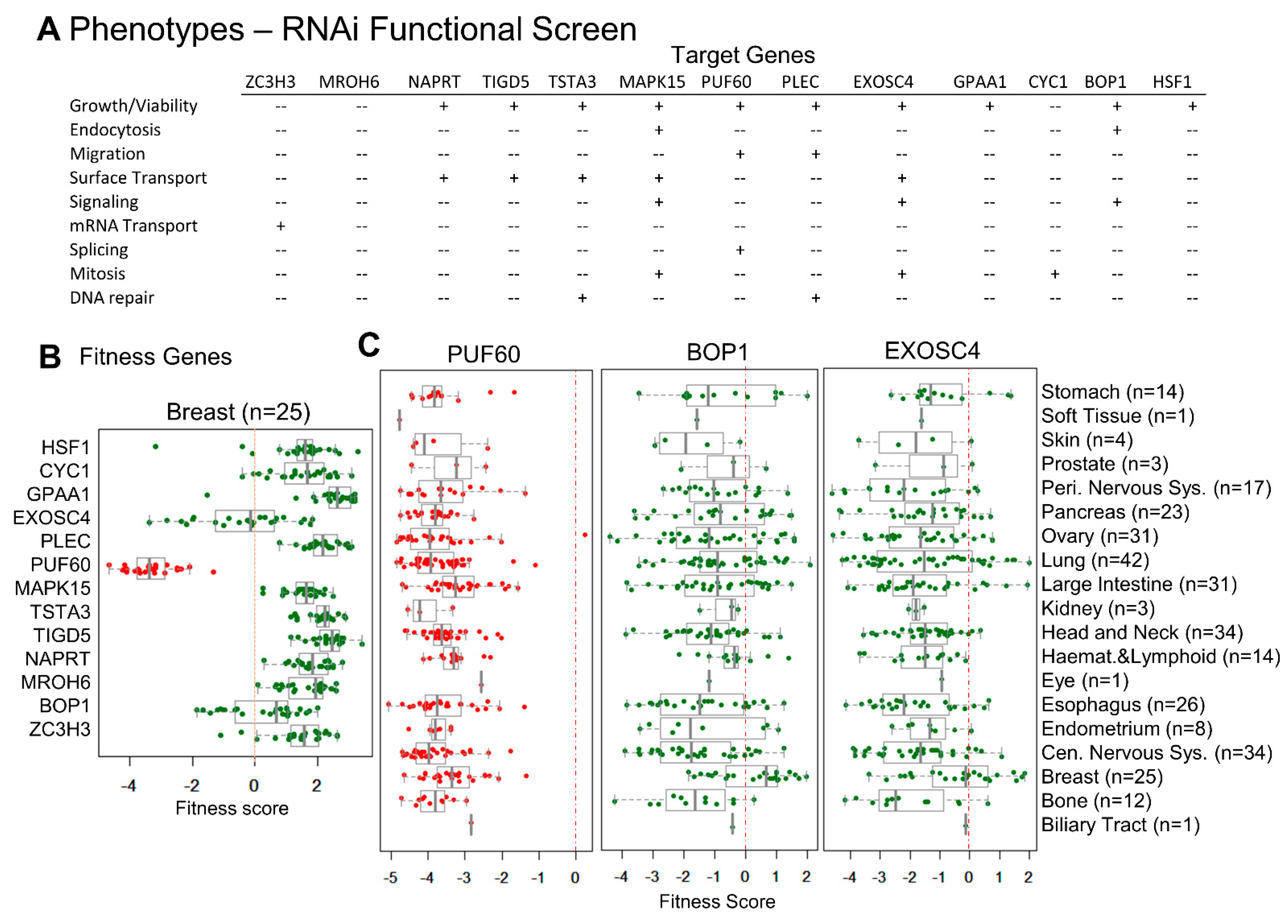 Cells 11 03806 g004 Cells 11 03806 g004