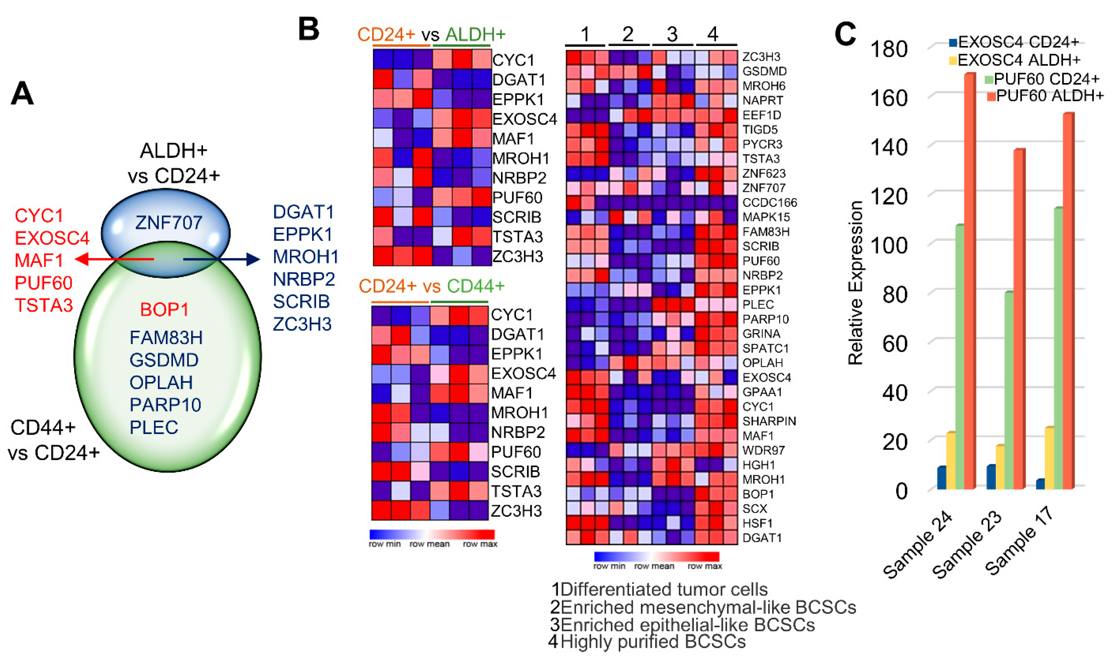 Cells 11 03806 g005 Cells 11 03806 g005