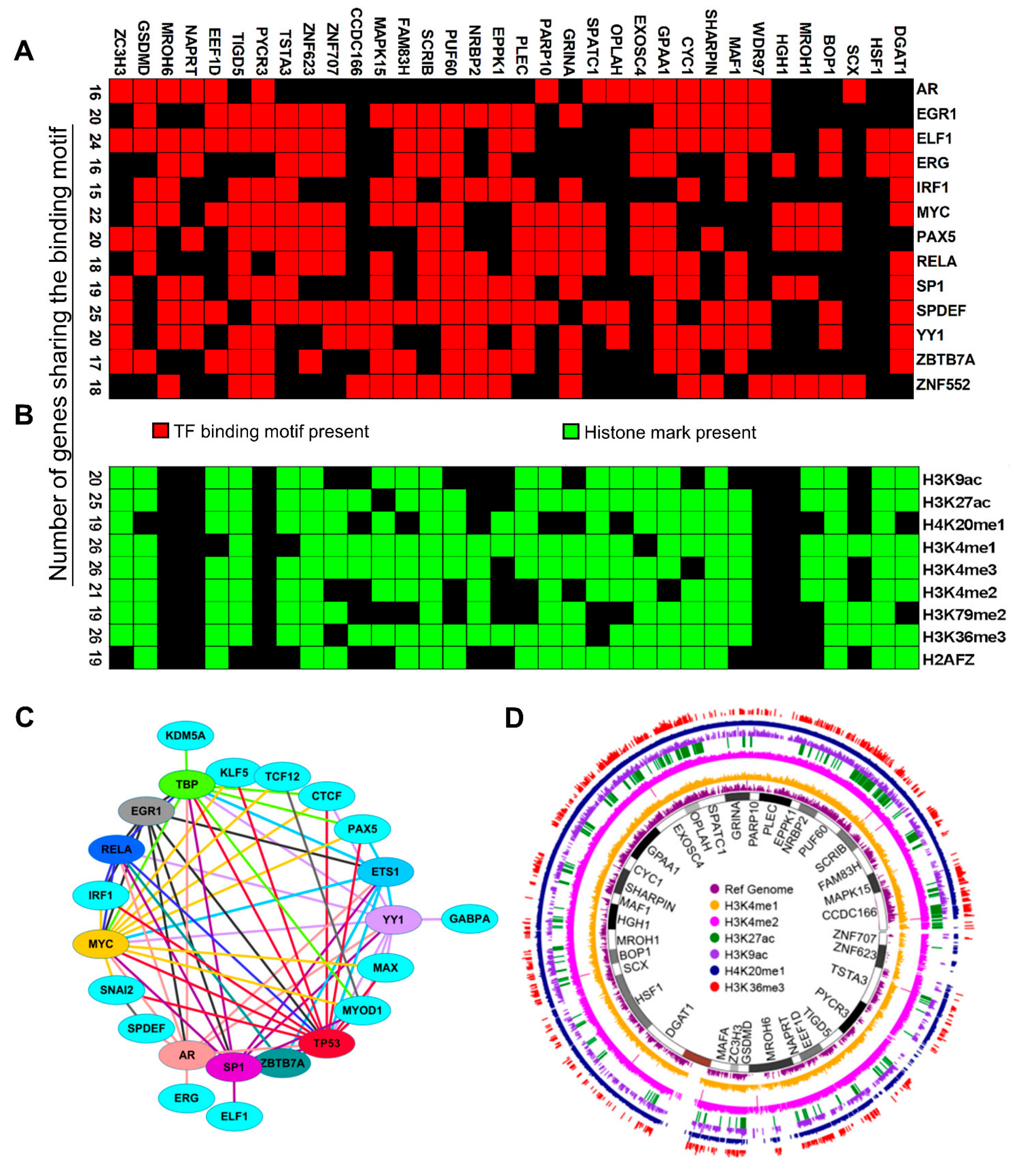 Cells 11 03806 g007 Cells 11 03806 g007