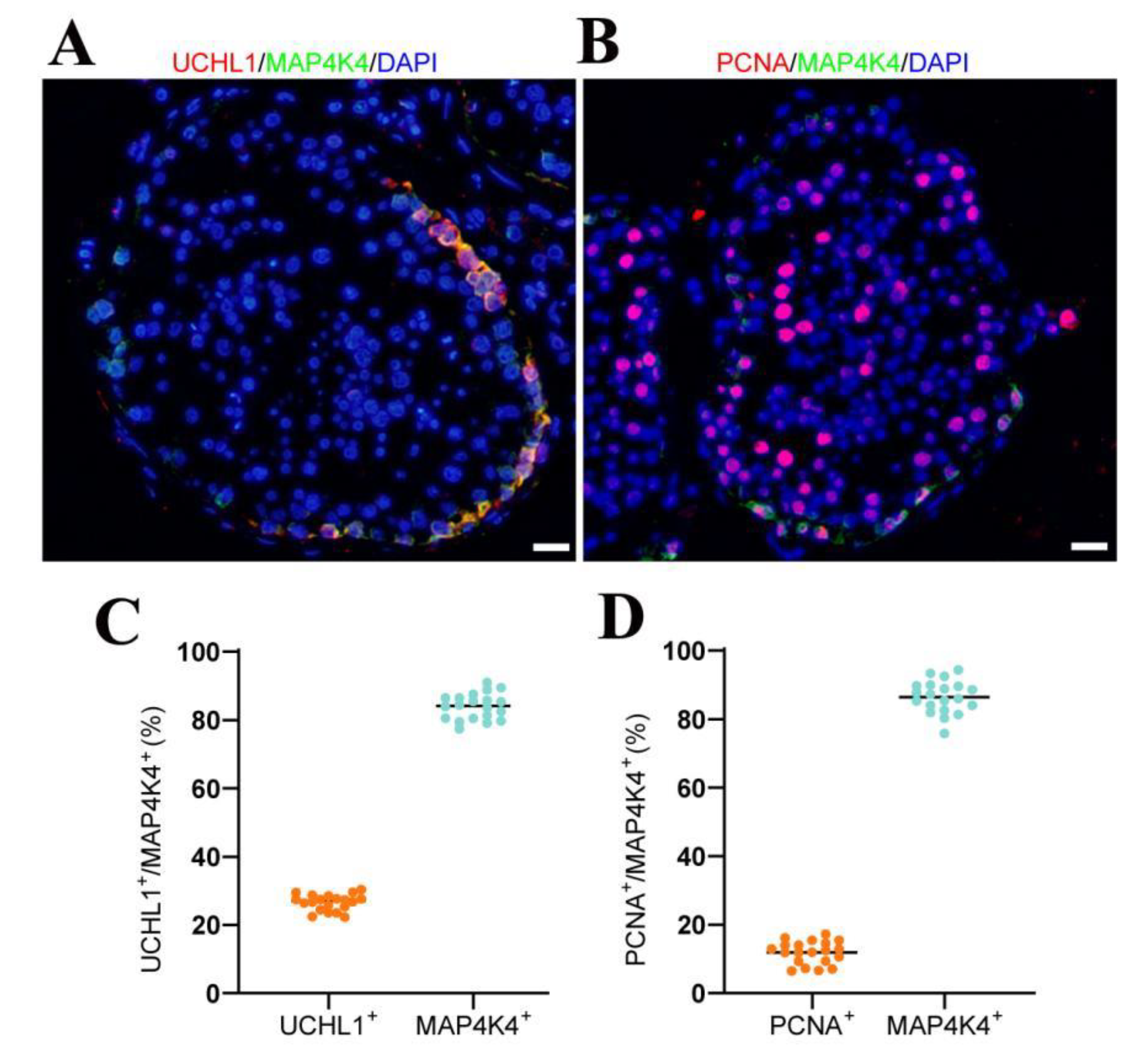 Cells 11 03807 g001 Cells 11 03807 g001
