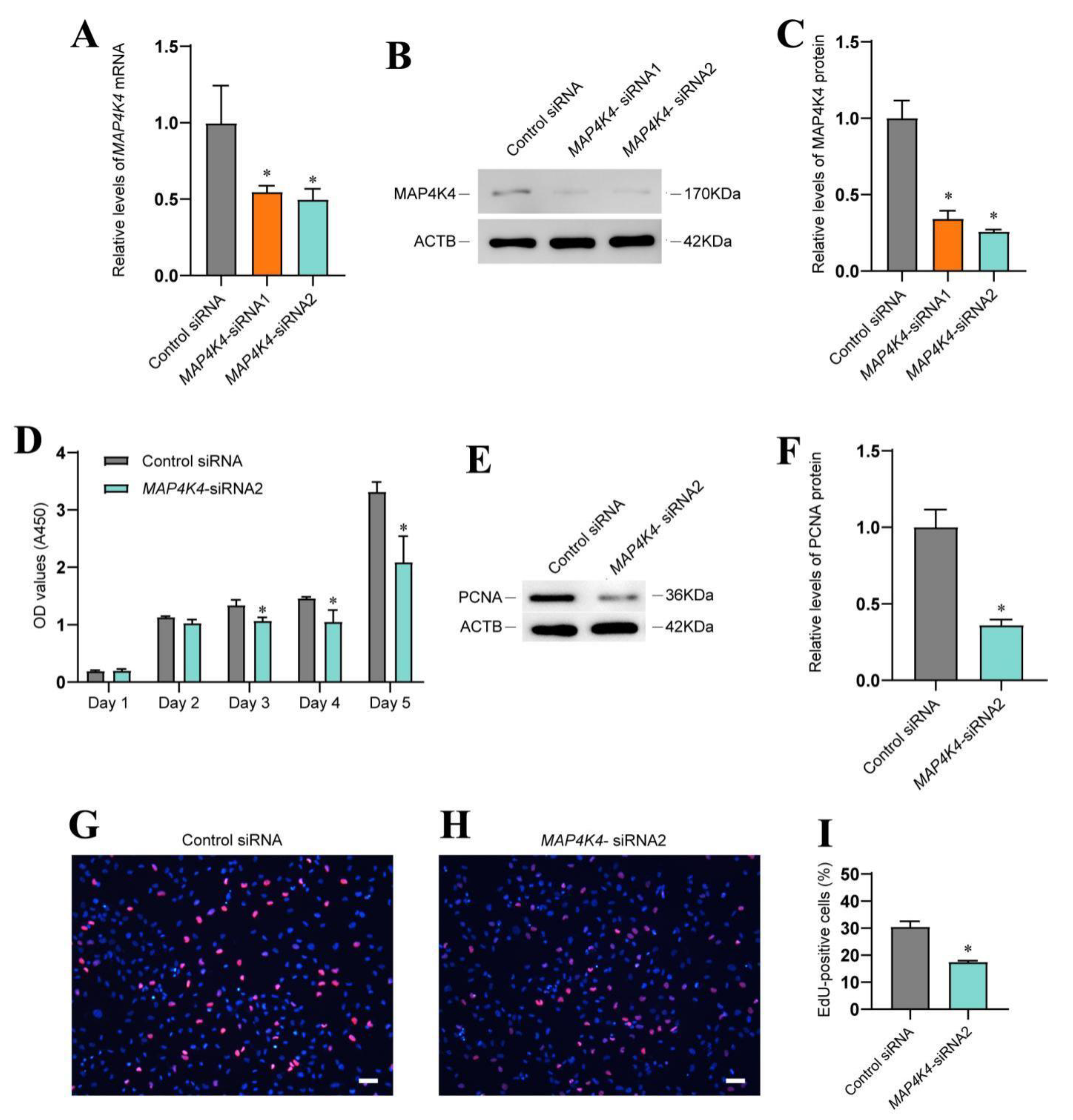 Cells 11 03807 g002 Cells 11 03807 g002