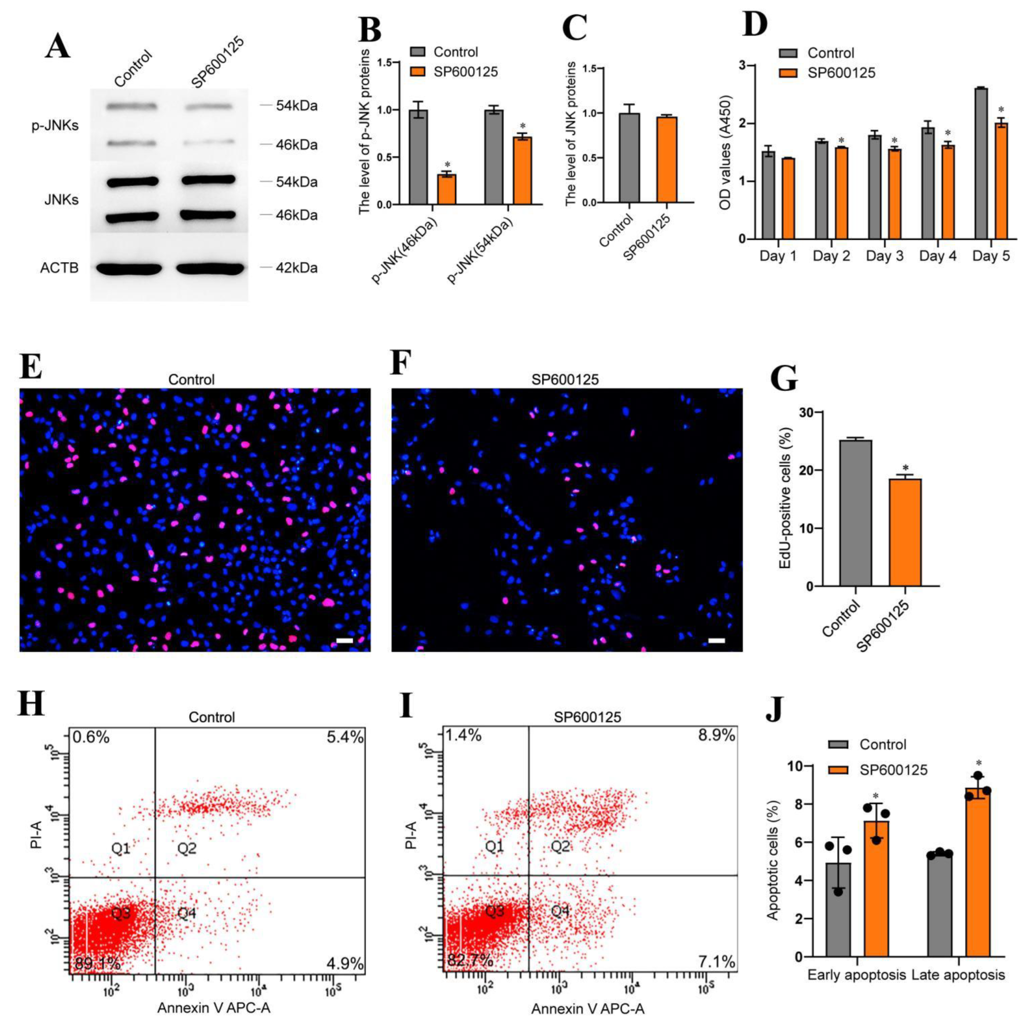 Cells 11 03807 g005 Cells 11 03807 g005