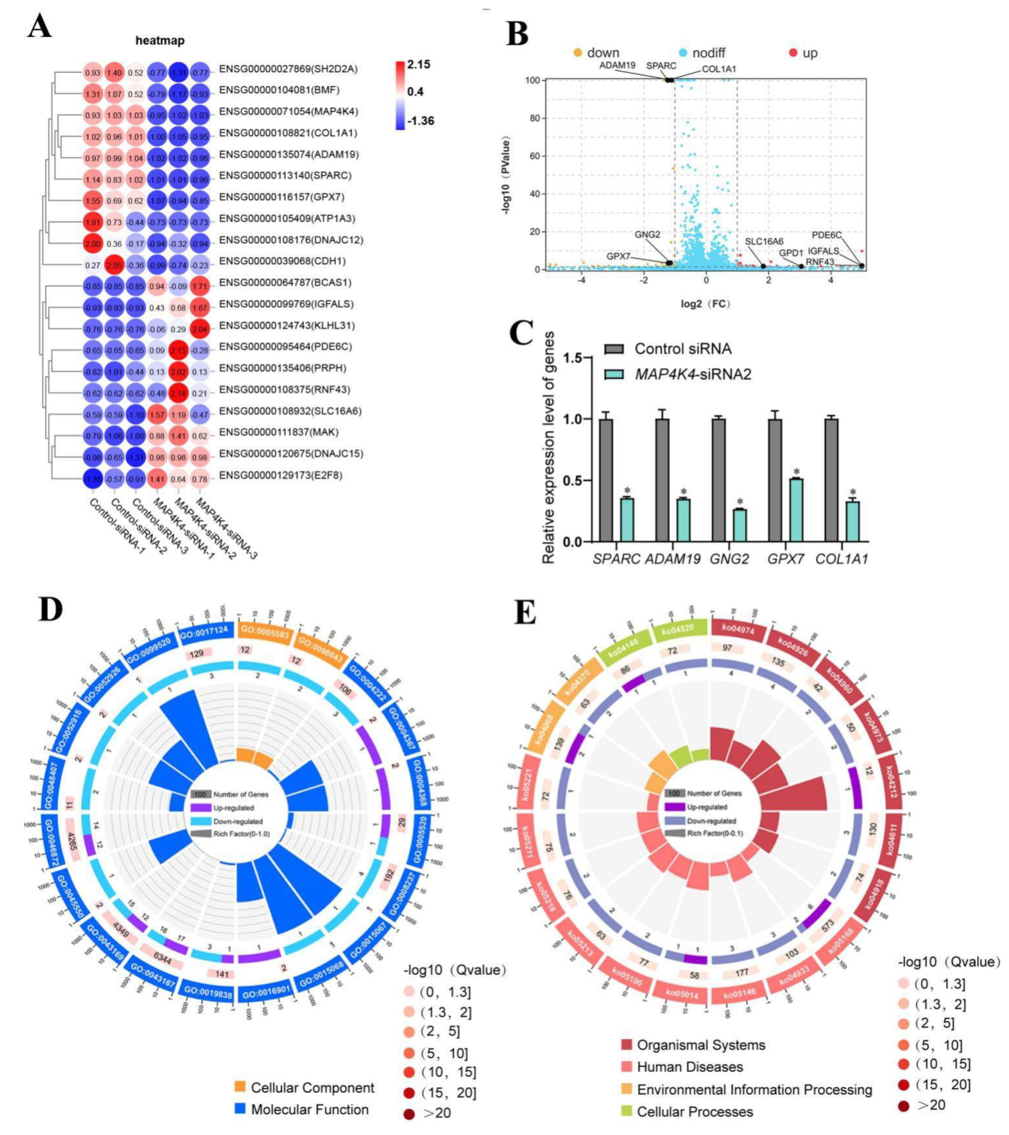 Cells 11 03807 g006 Cells 11 03807 g006