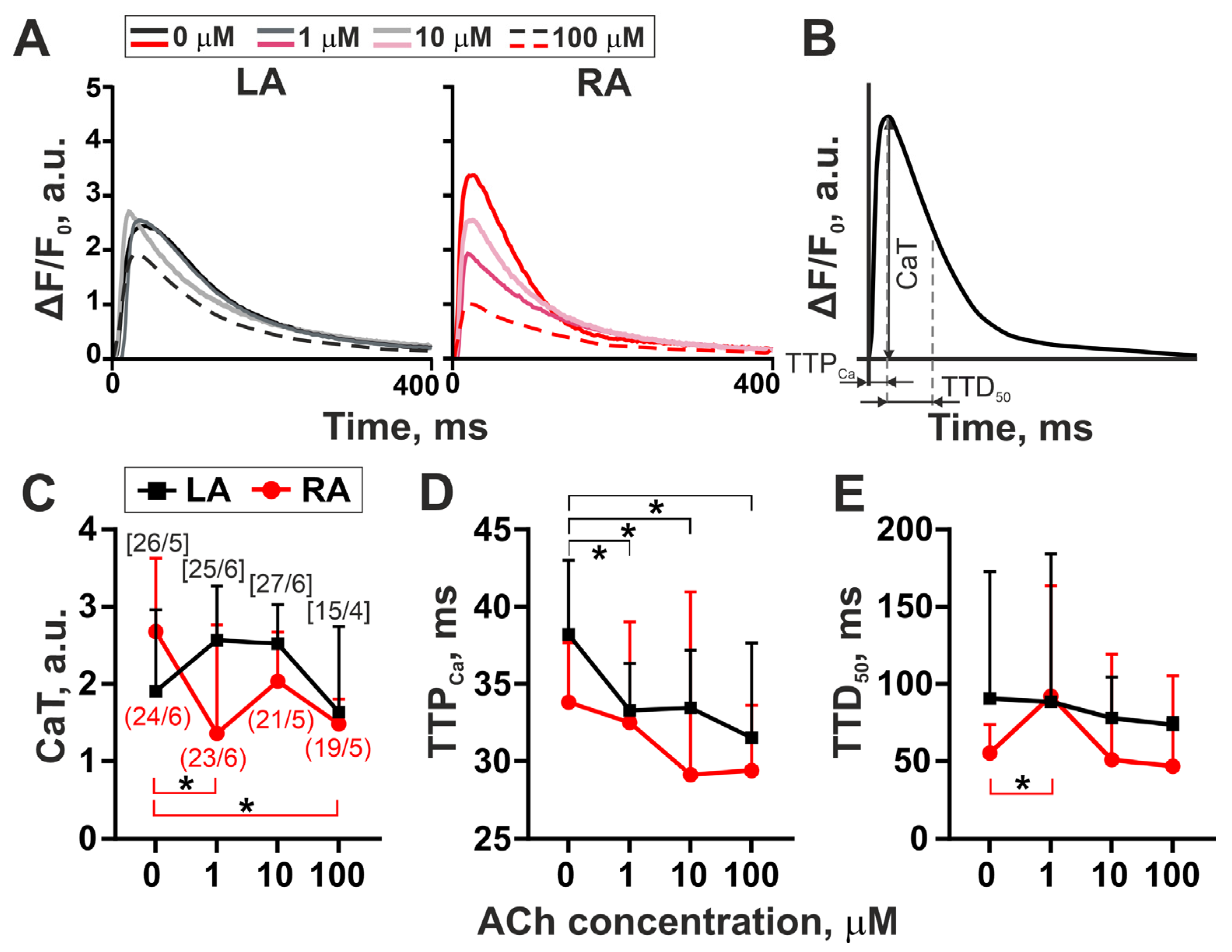 Cells 11 03809 g002 Cells 11 03809 g002