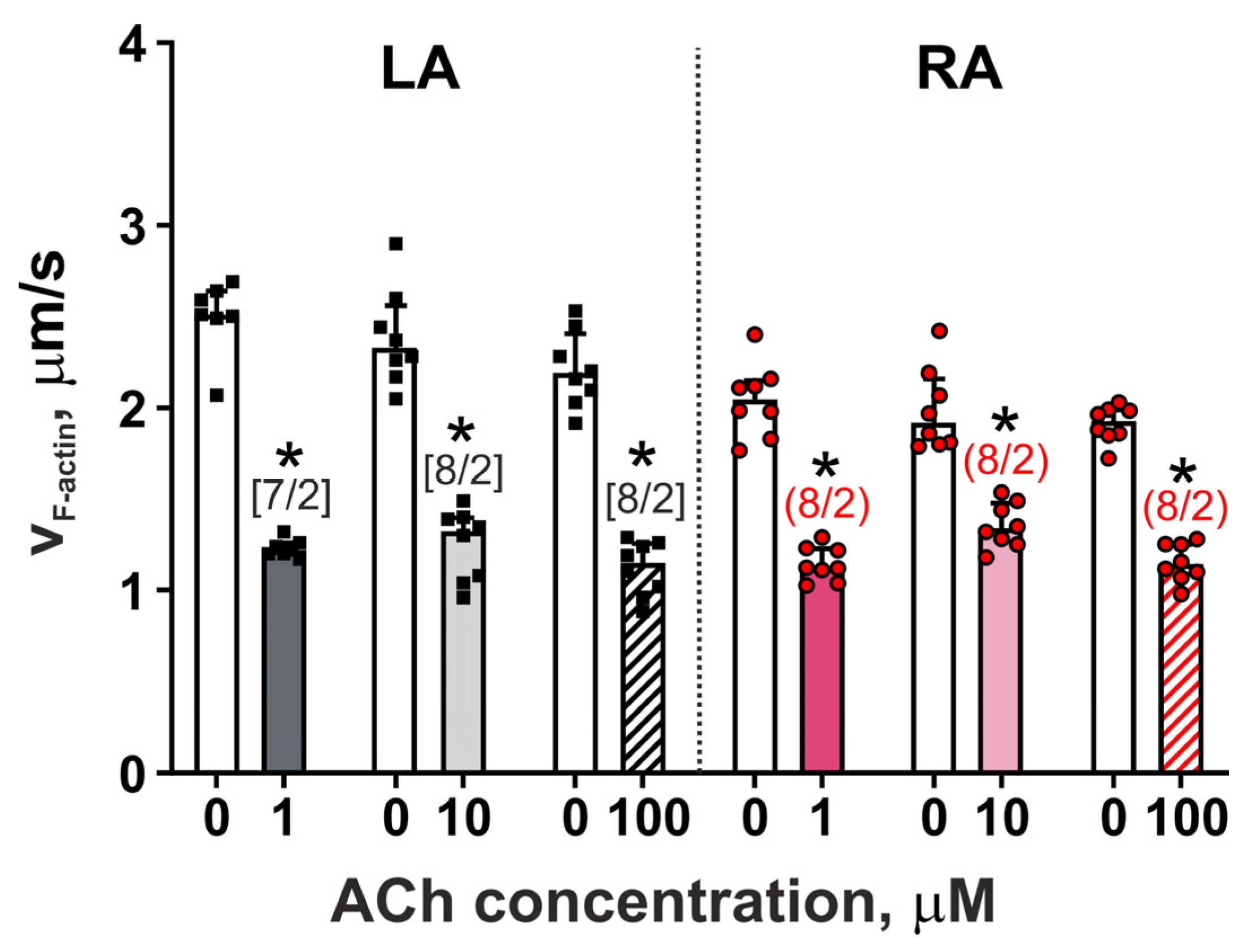 Cells 11 03809 g003 Cells 11 03809 g003