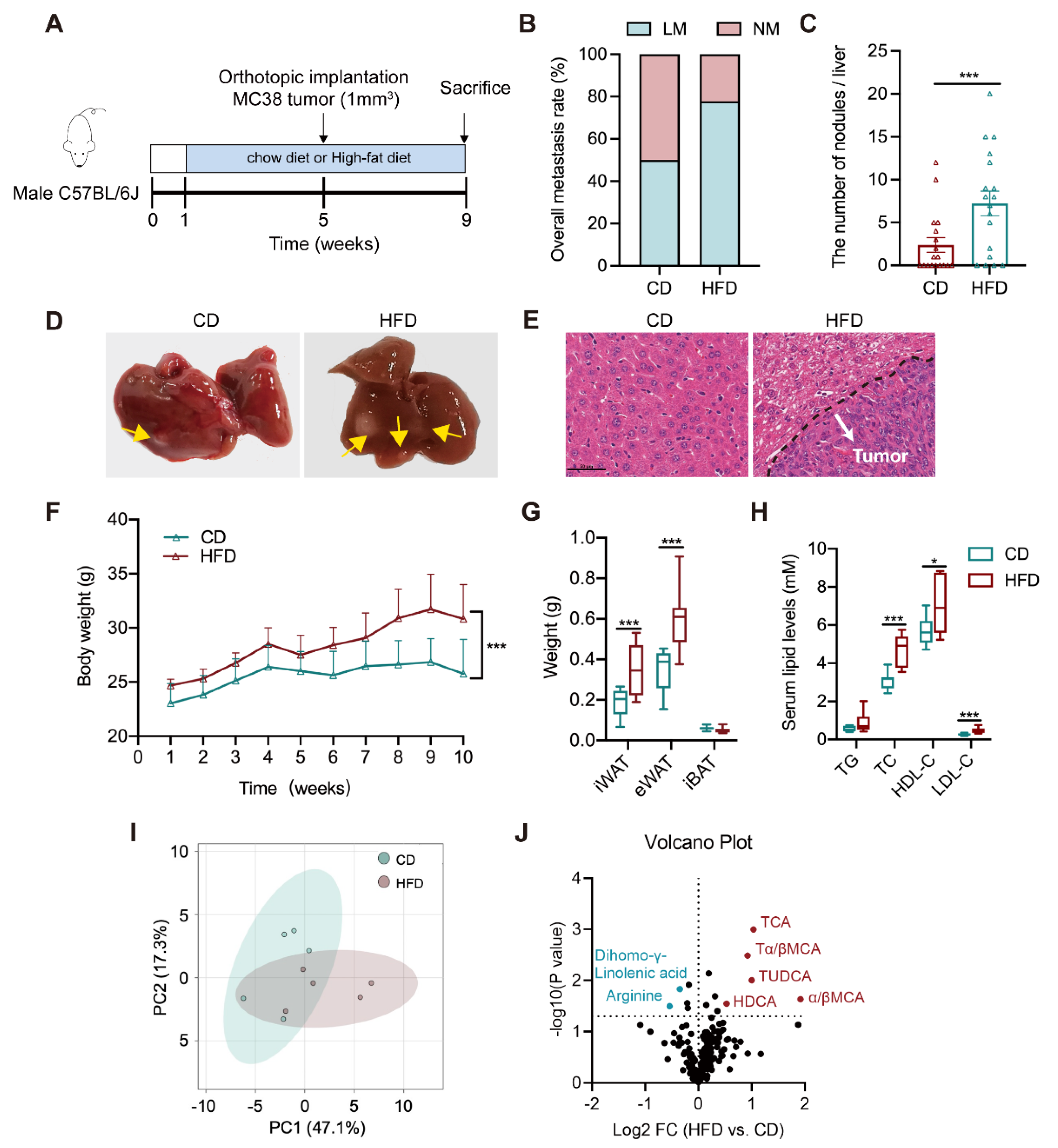 Cells 11 03810 g001 Cells 11 03810 g001