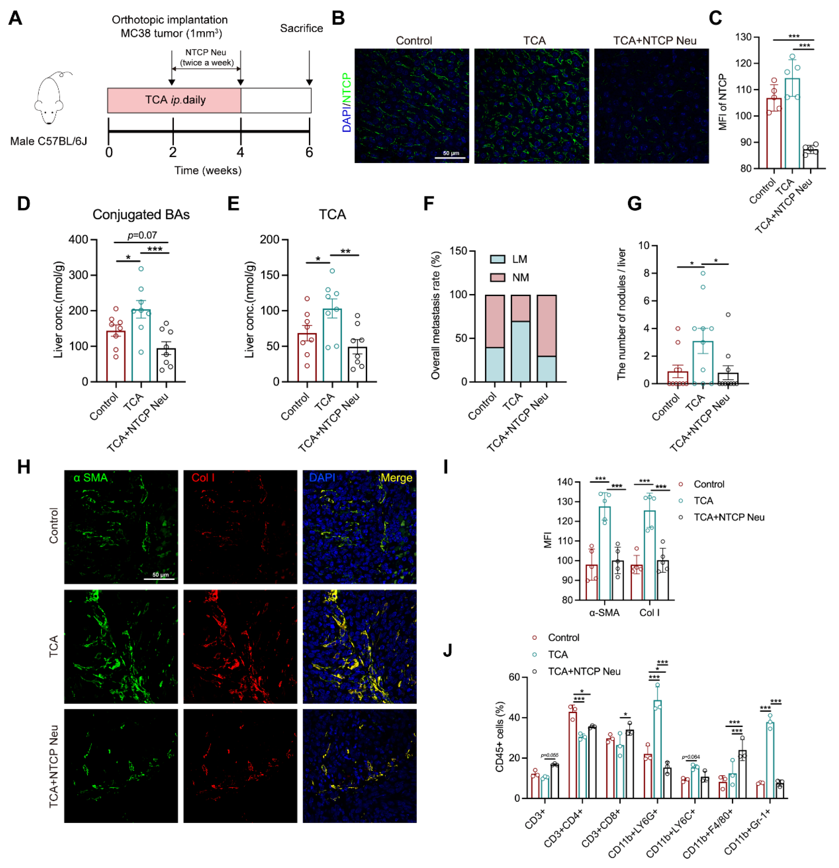 Cells 11 03810 g005 Cells 11 03810 g005