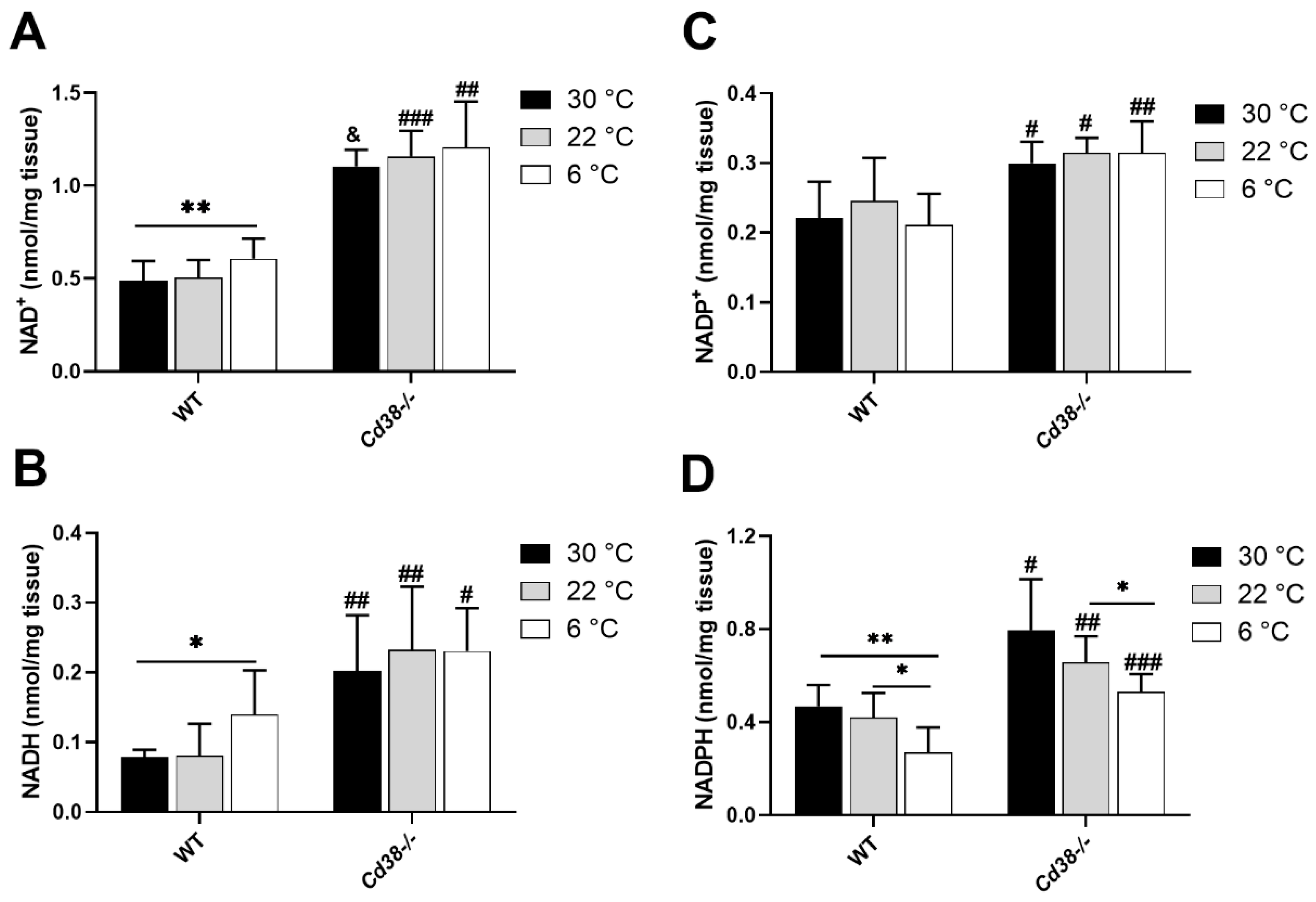 Cells 11 03812 g001 Cells 11 03812 g001