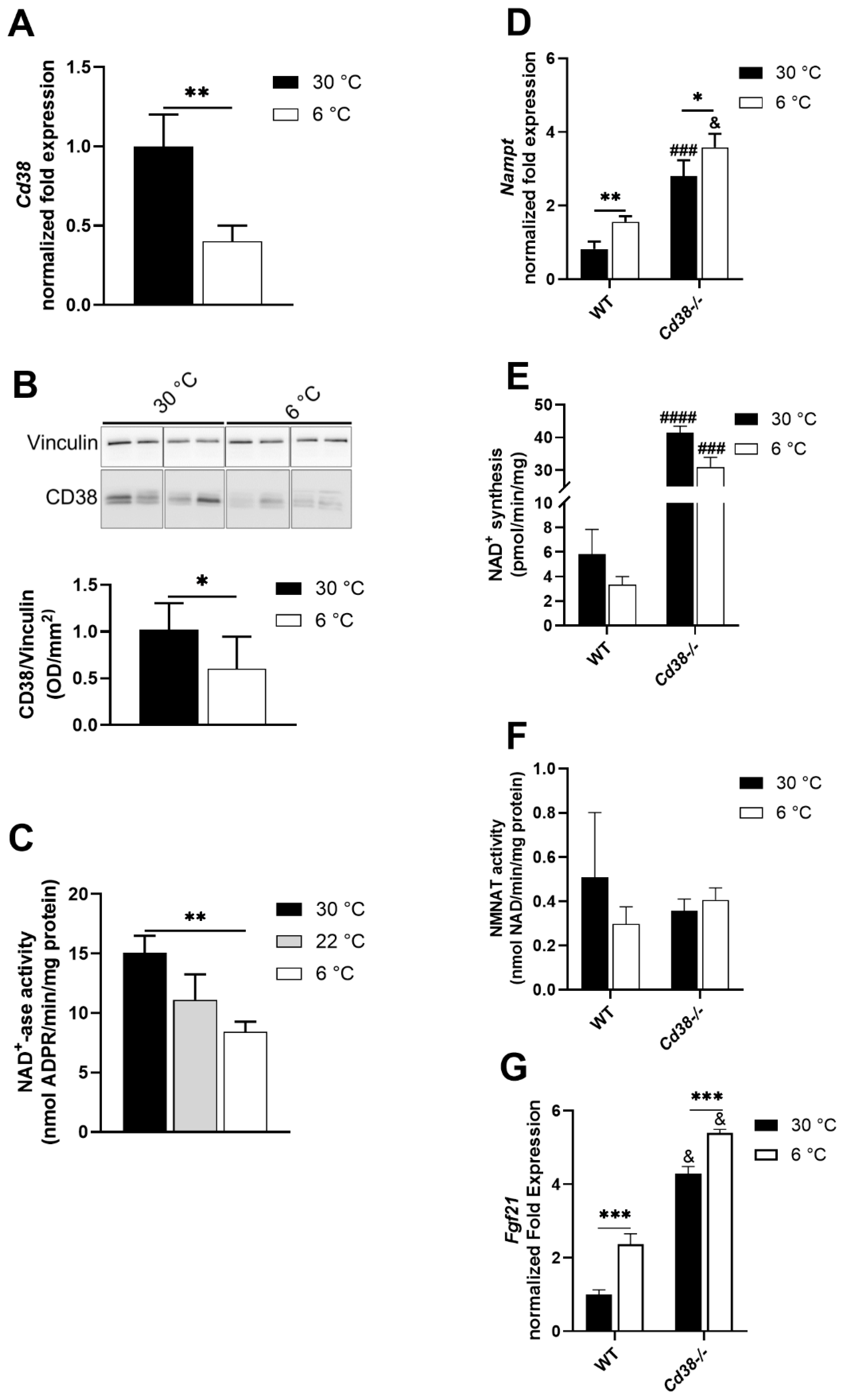 Cells 11 03812 g002 Cells 11 03812 g002