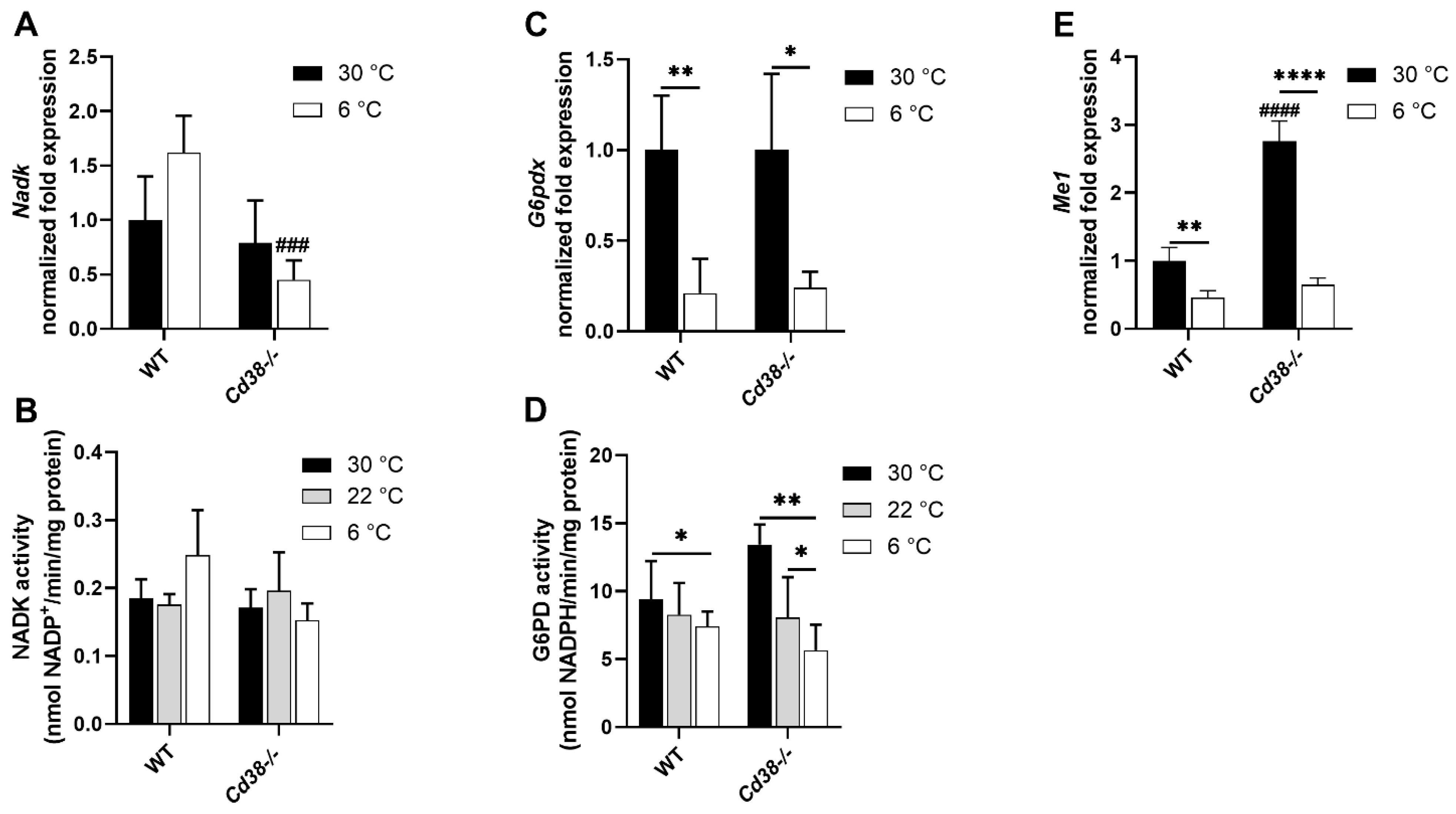 Cells 11 03812 g003 Cells 11 03812 g003