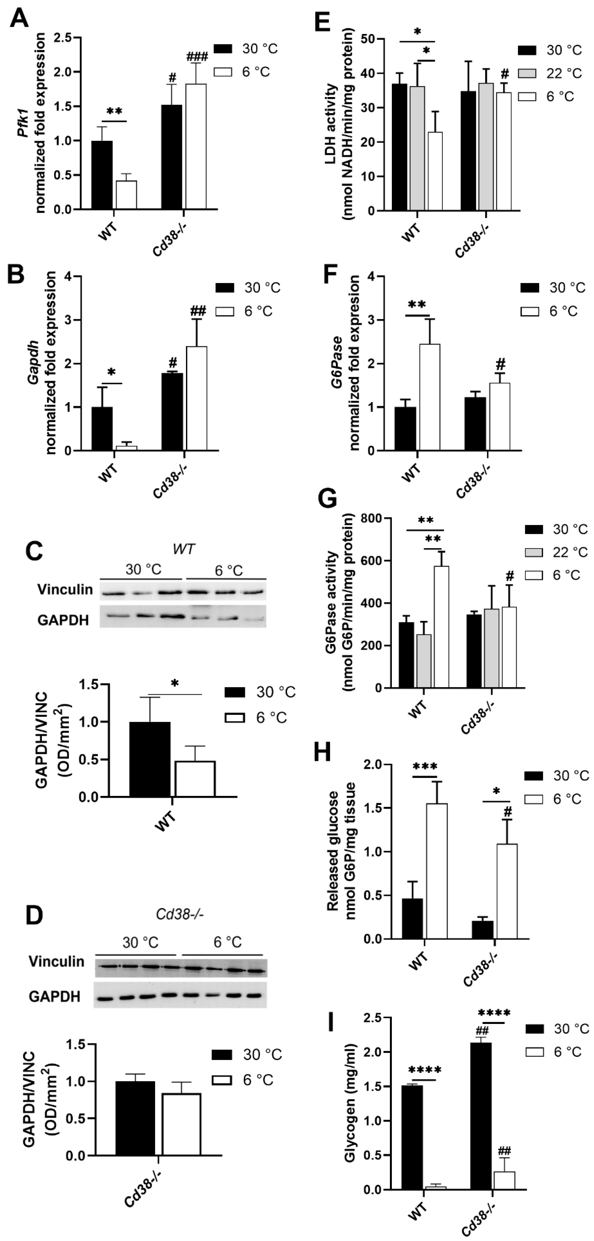 Cells 11 03812 g004 Cells 11 03812 g004