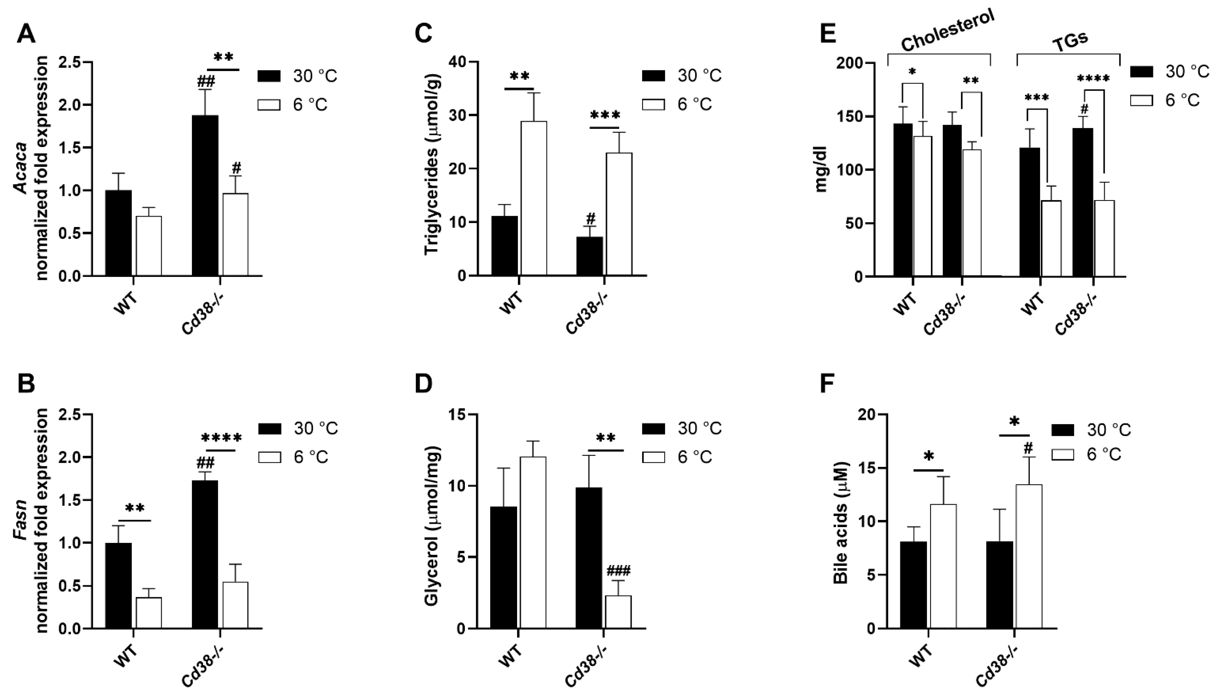 Cells 11 03812 g006 Cells 11 03812 g006