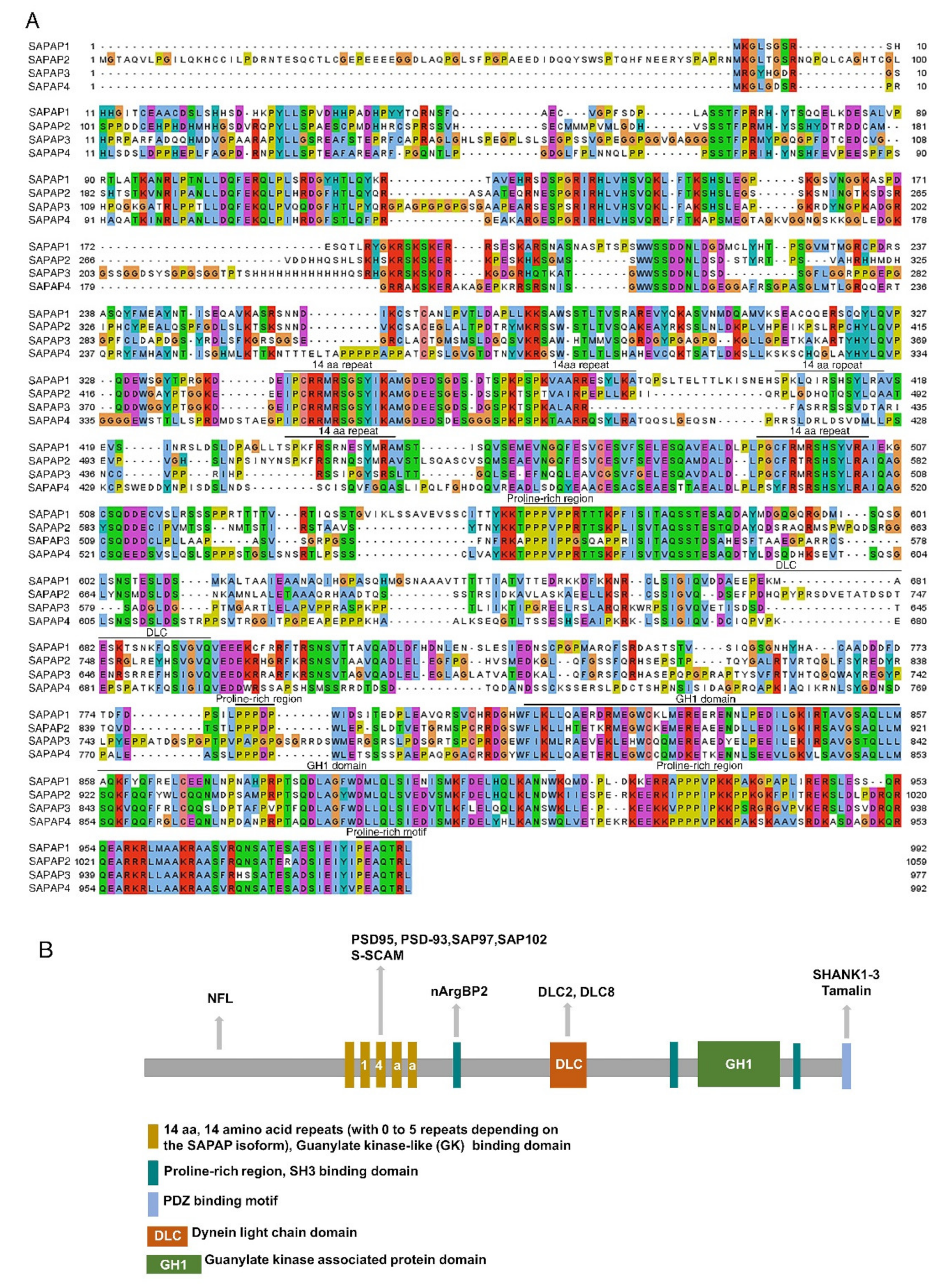 Cells 11 03815 g001 Cells 11 03815 g001
