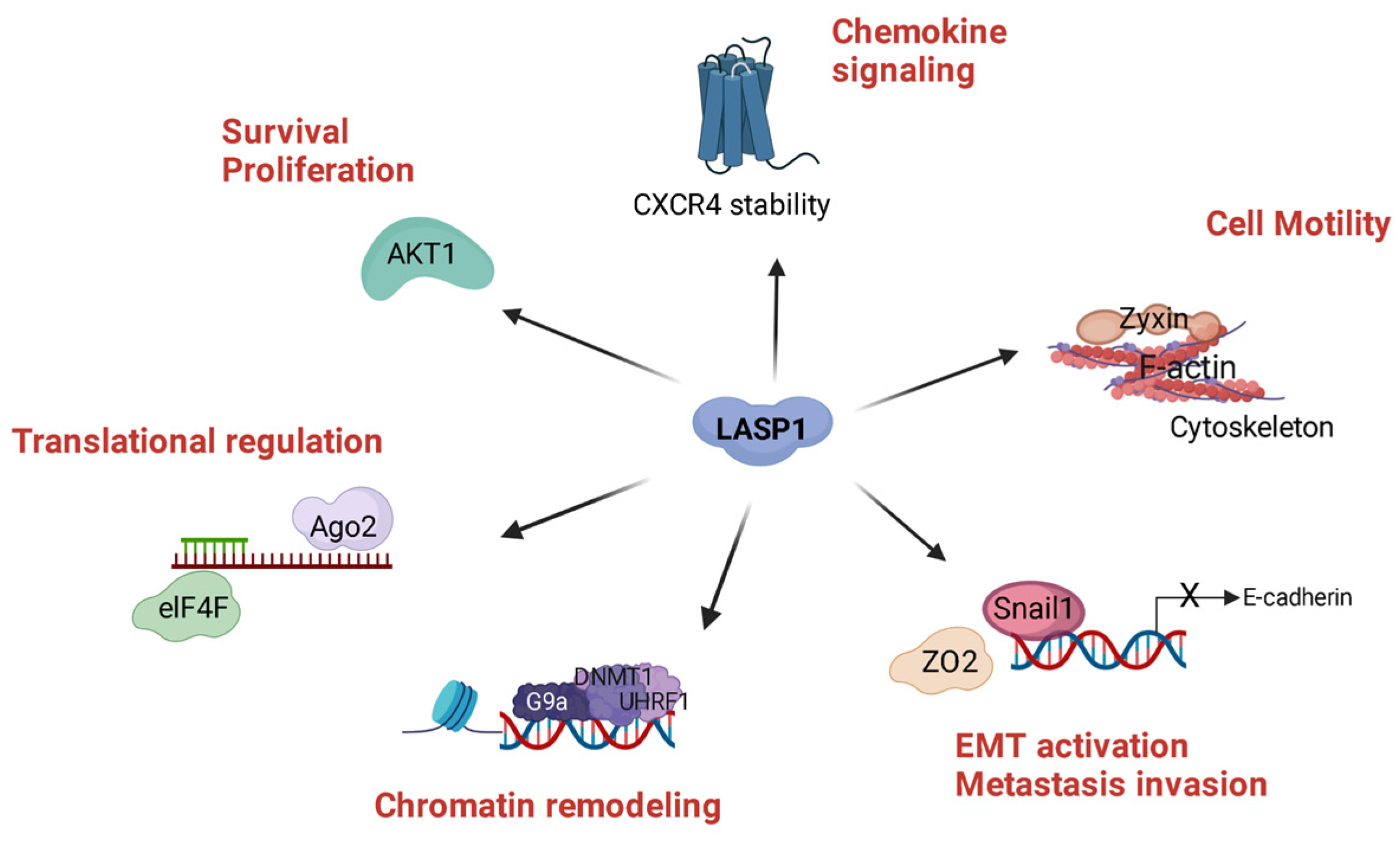Cells 11 03817 g005 Cells 11 03817 g005